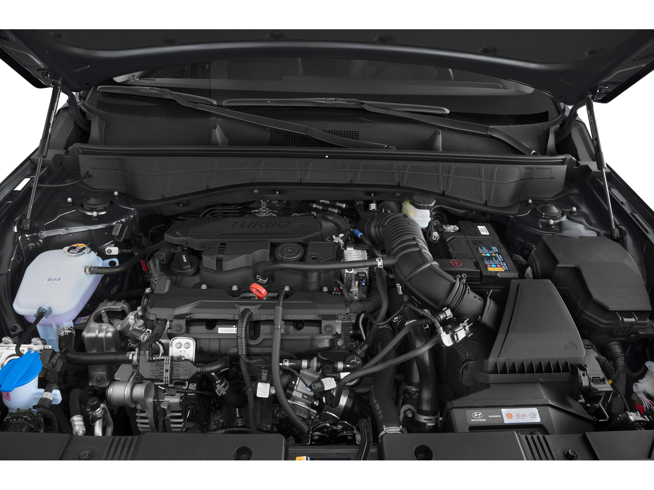 2024 Hyundai Kona Limited Image 11 of 11