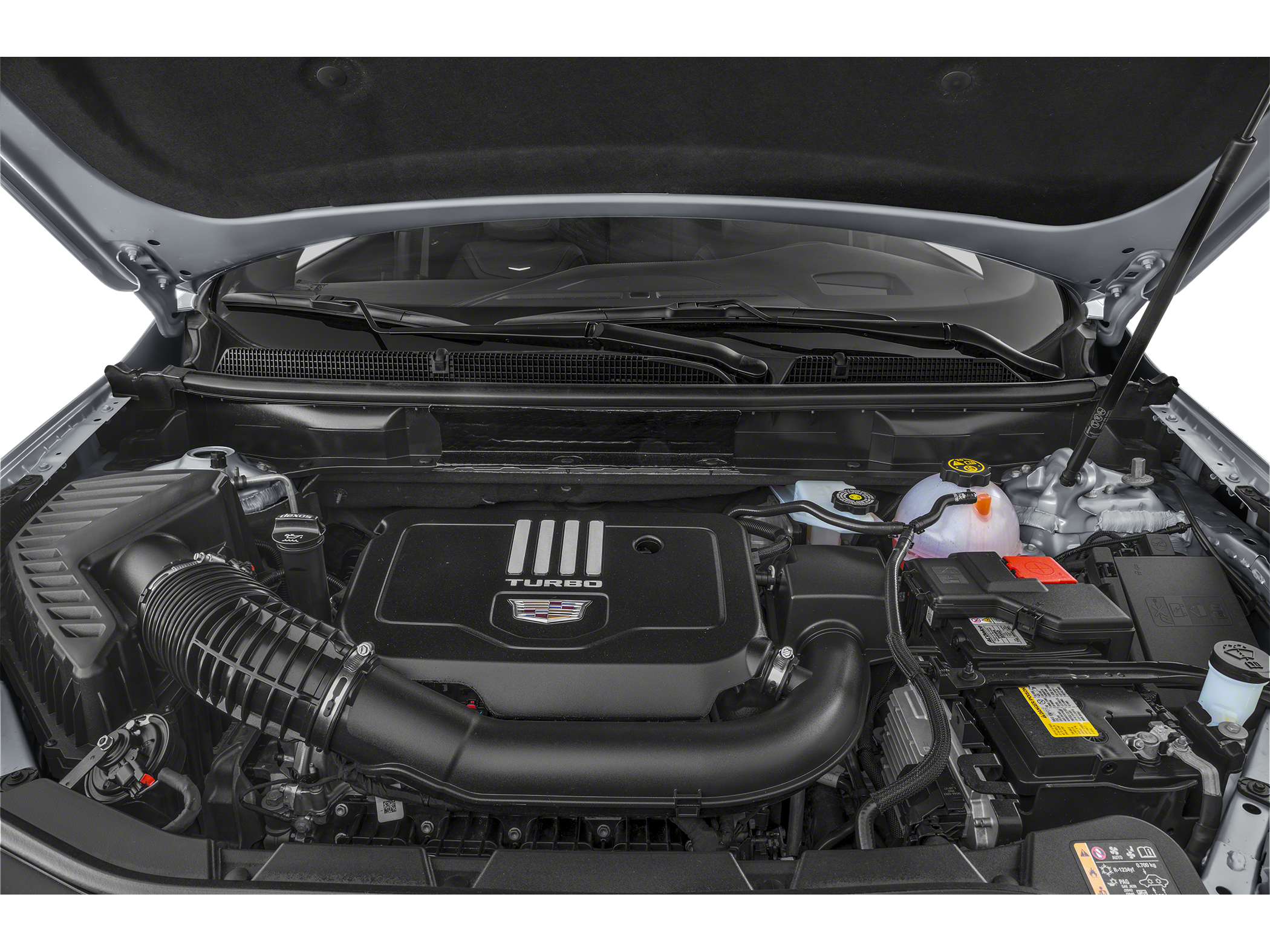 2025 Cadillac XT5 Luxury Image 11 of 11