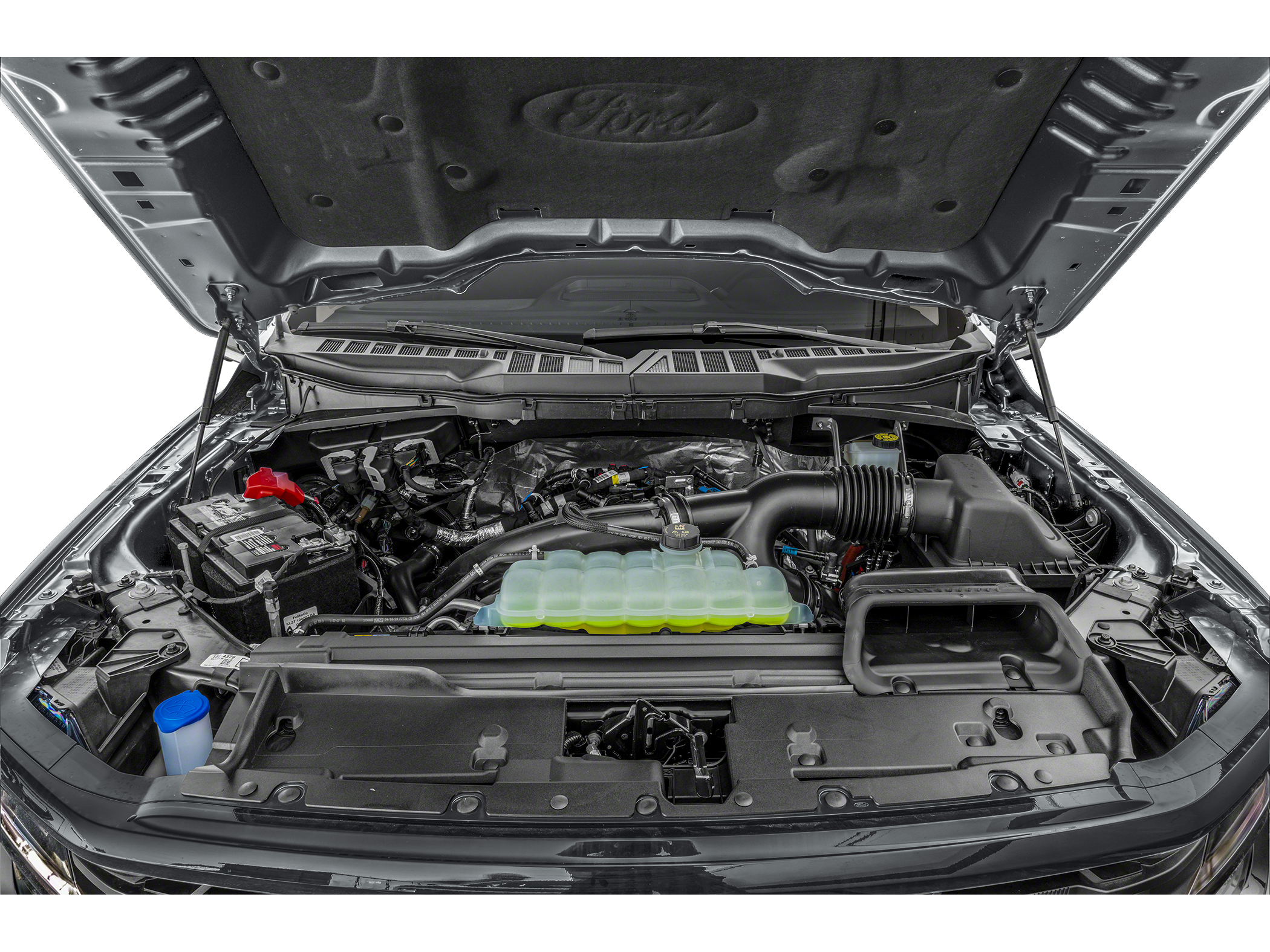 2025 Ford F-150 XLT Image 11 of 11