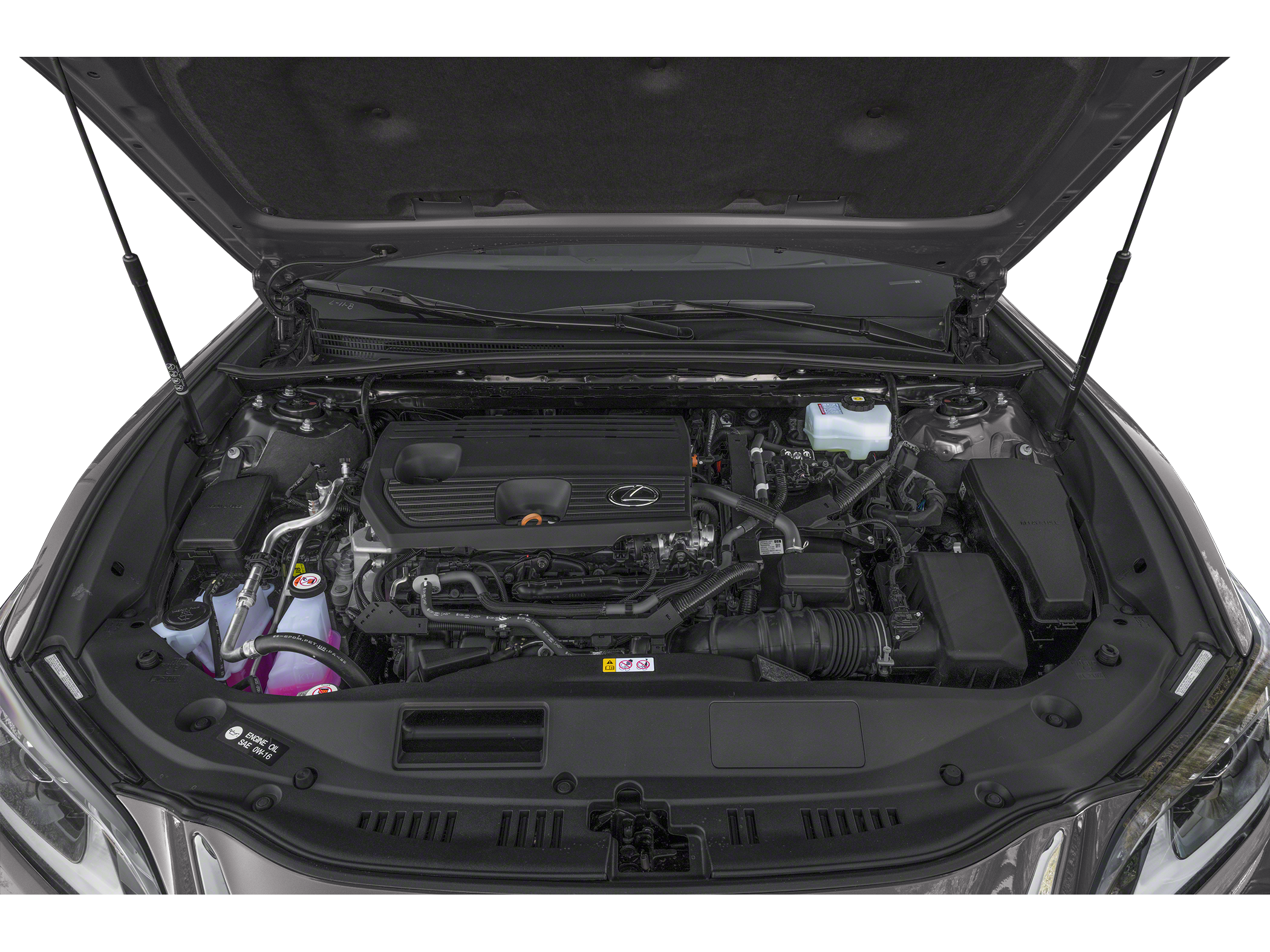 2025 Lexus ES 300h Luxury Image 11 of 11