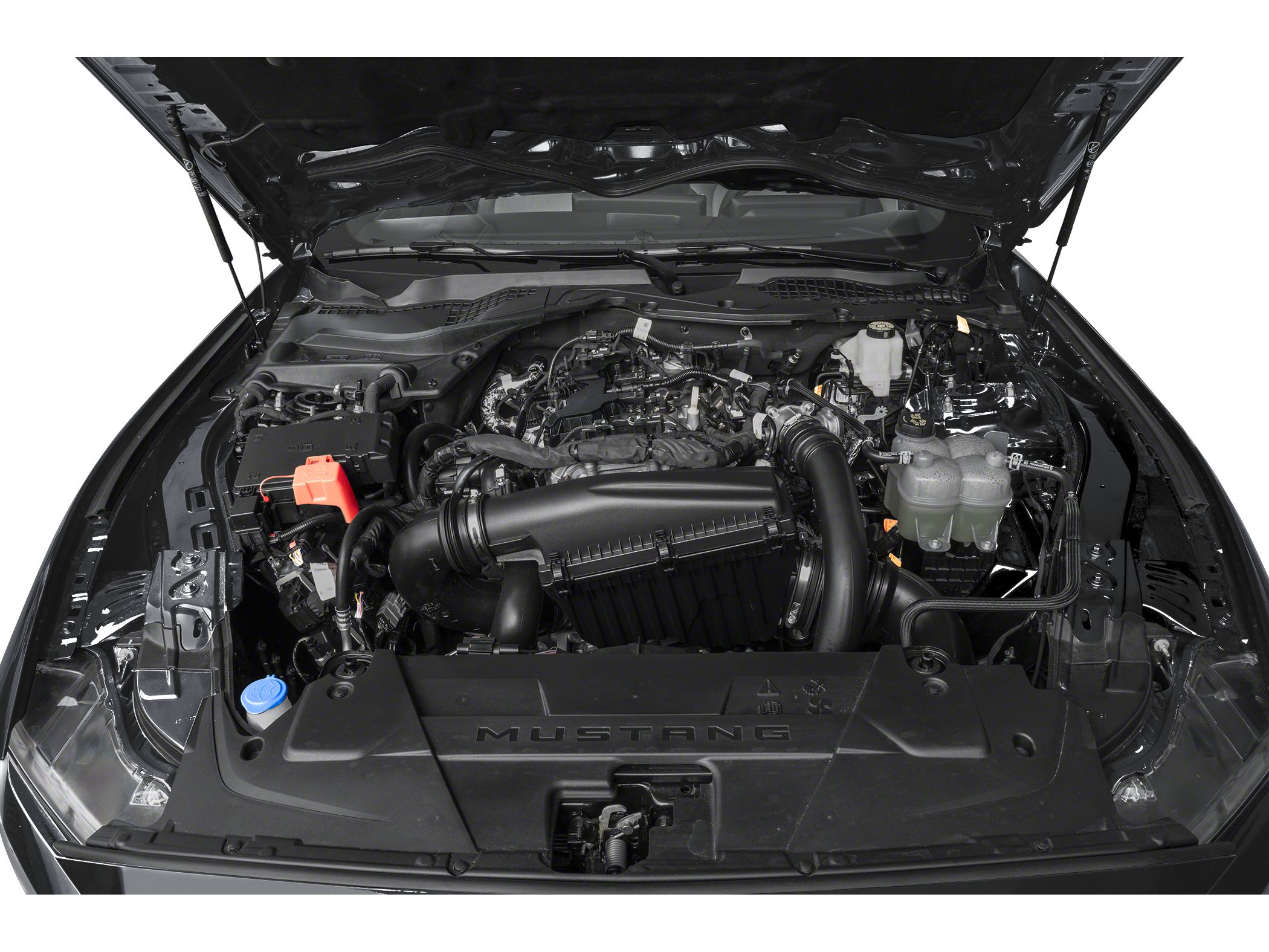 2026 Ford Mustang EcoBoost Image 11 of 11