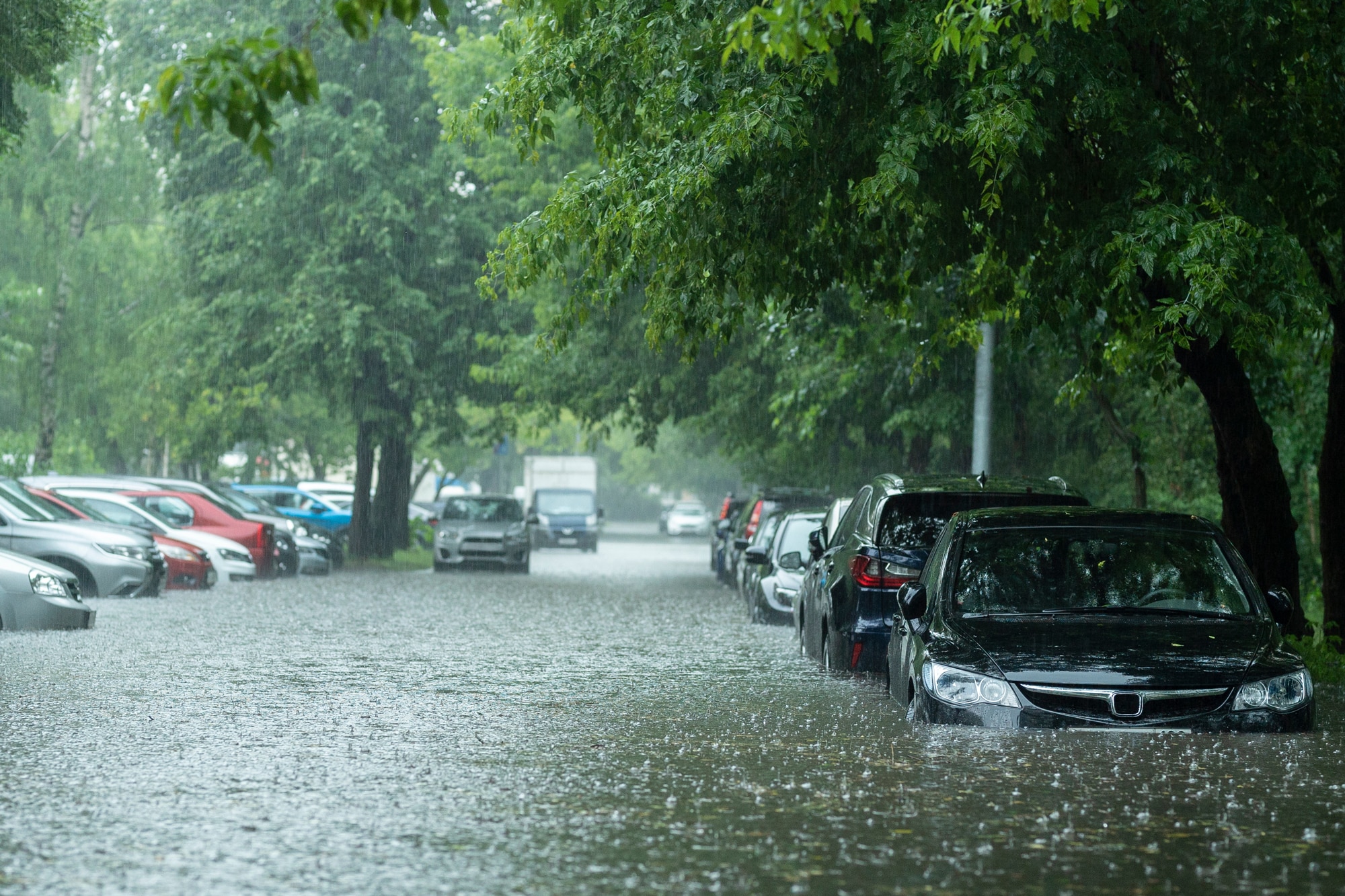 Flooded cars on the street of the city after heavy rain