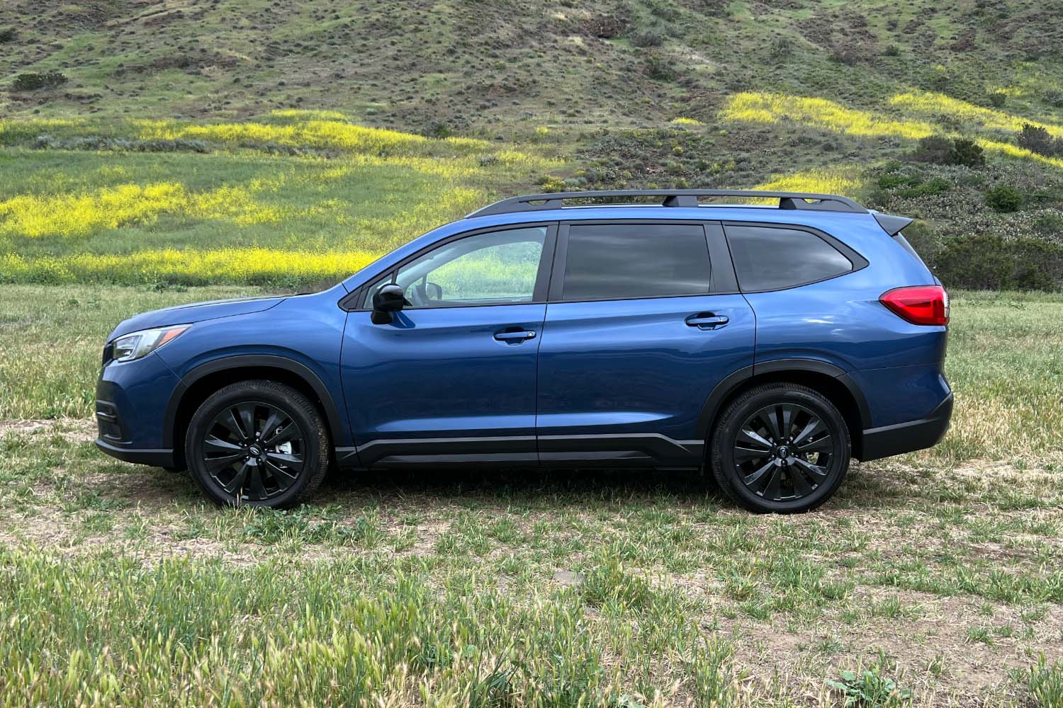 2022 Subaru Ascent Onyx Edition Blue Side View