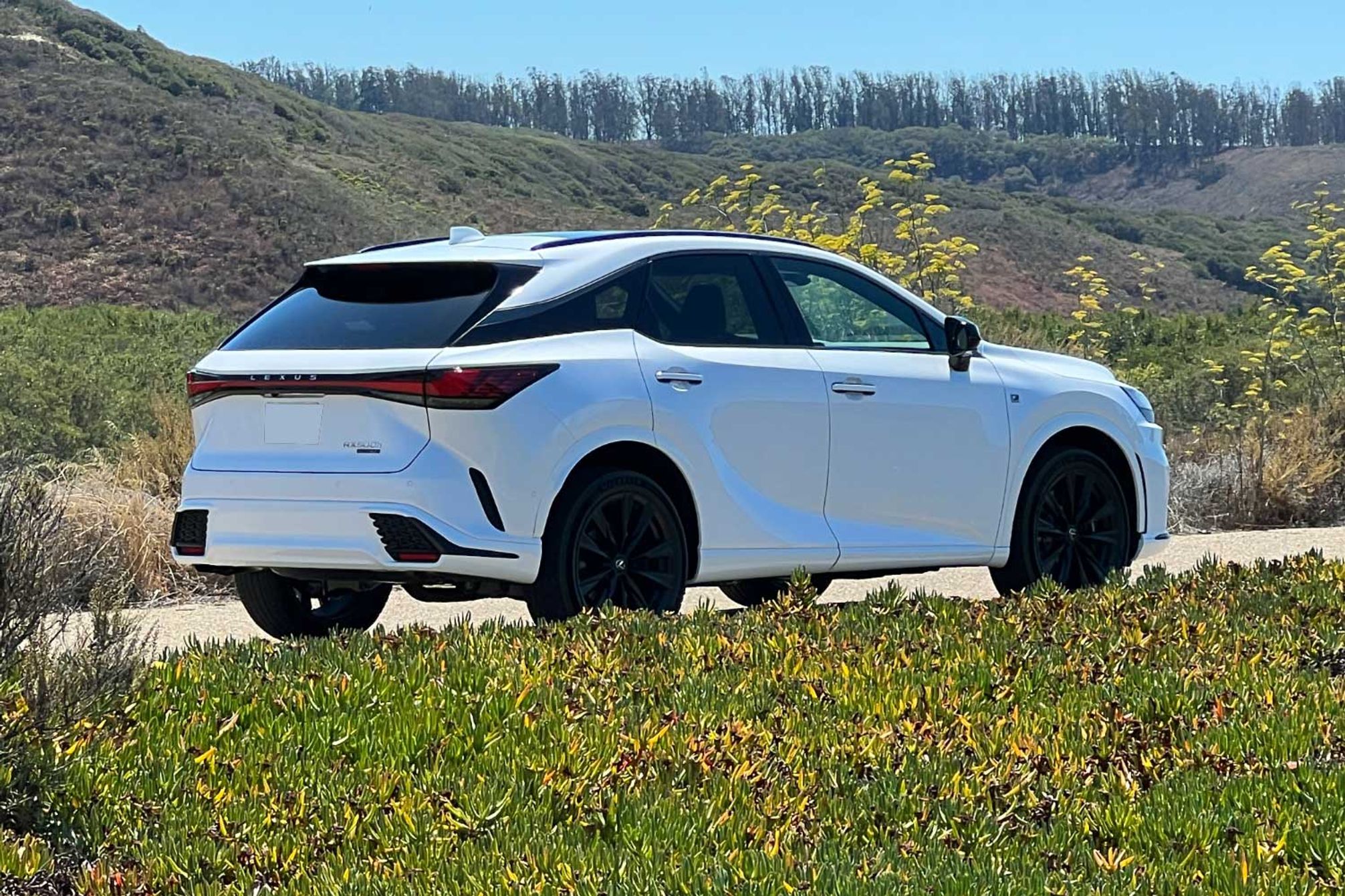 2023 Lexus RX Review and Test Drive | Capital One Auto Navigator
