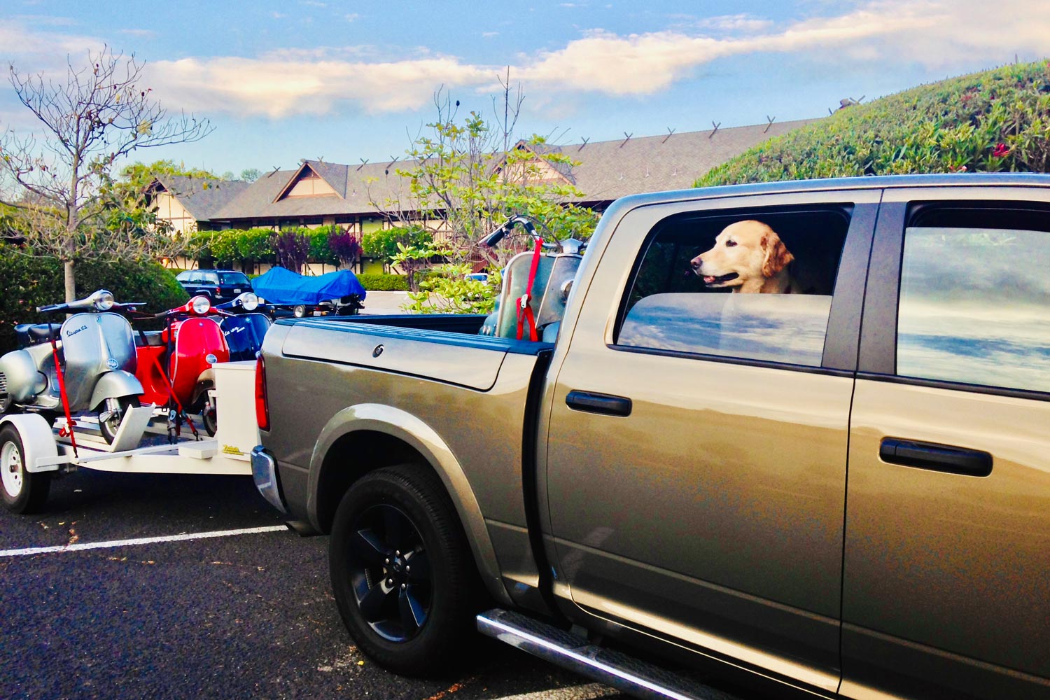 A green Ram truck with a golden retriever sticking his head out of the rear passenger window tows a white motorcycle trailer.