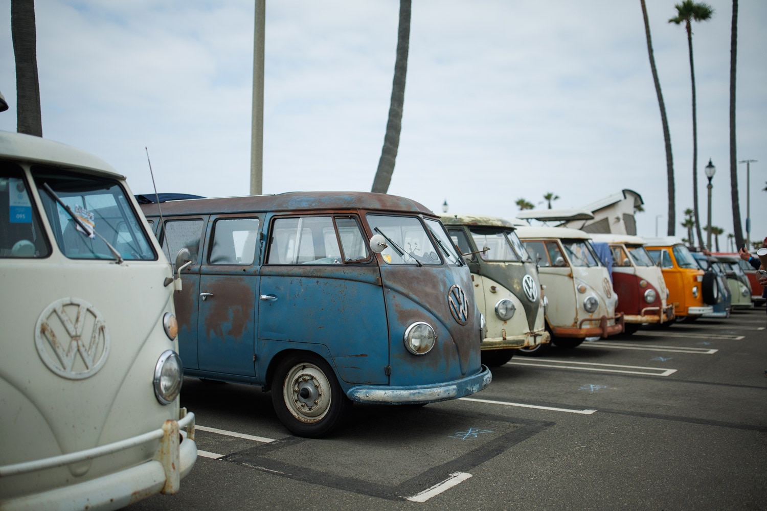  A multicolored row of classic Volkswagen vans
