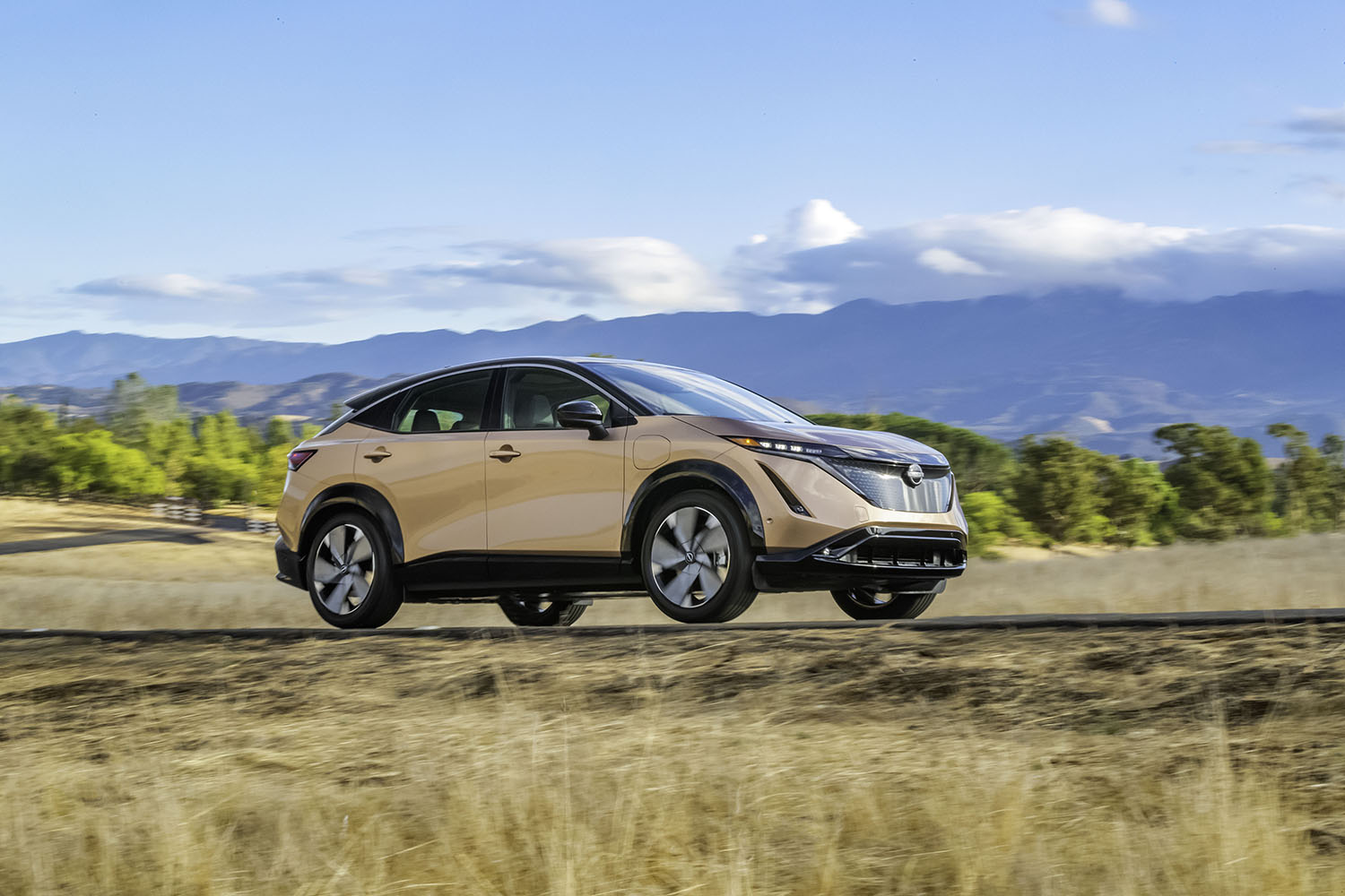 2023 Nissan Ariya in two-tone Sunrise Copper Pearl/Black Diamond Pearl driving along road lined with golden brush