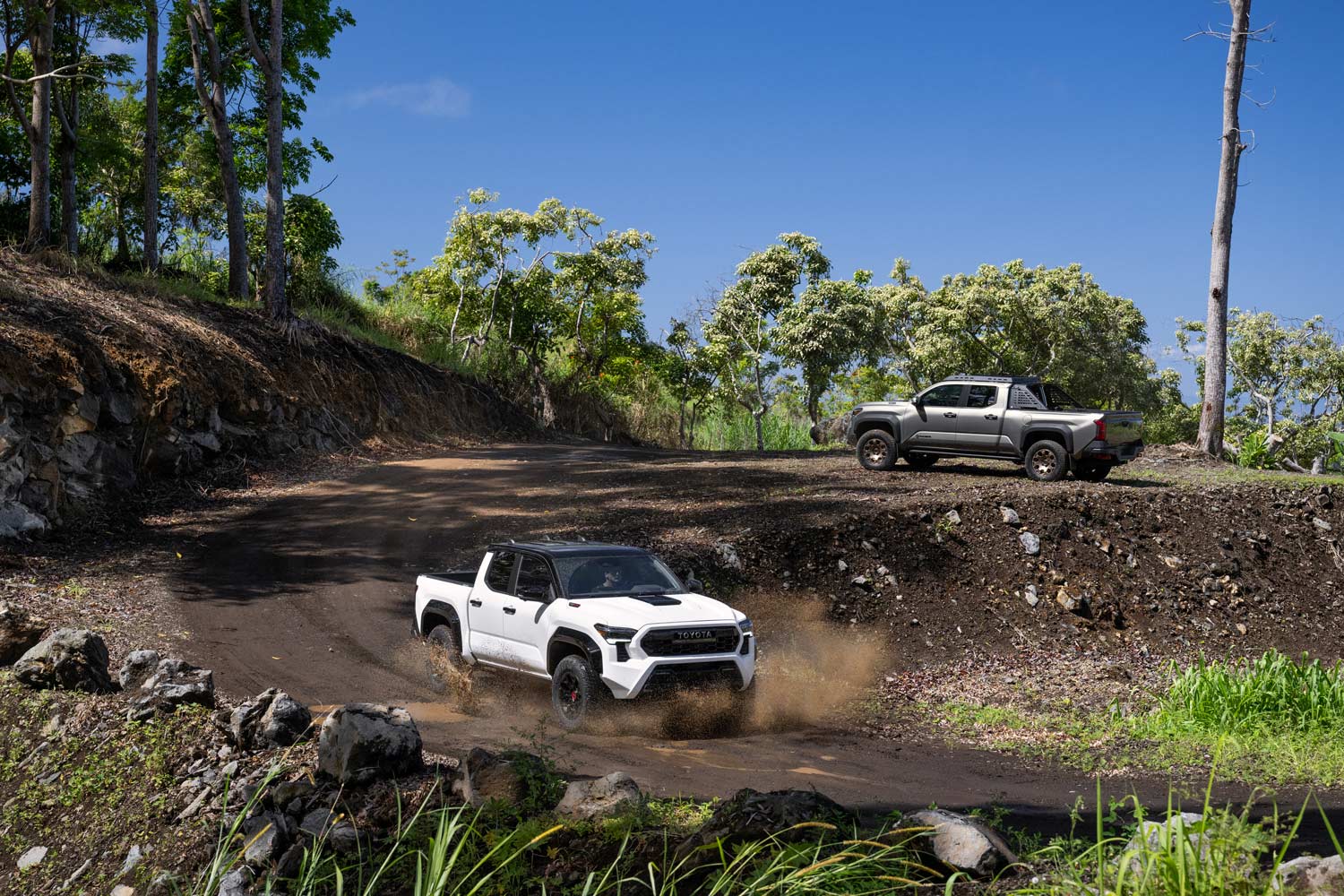 2024 Toyota Tacoma TRD Pro in white drives below 2024 Tacoma Trailhunter in gray