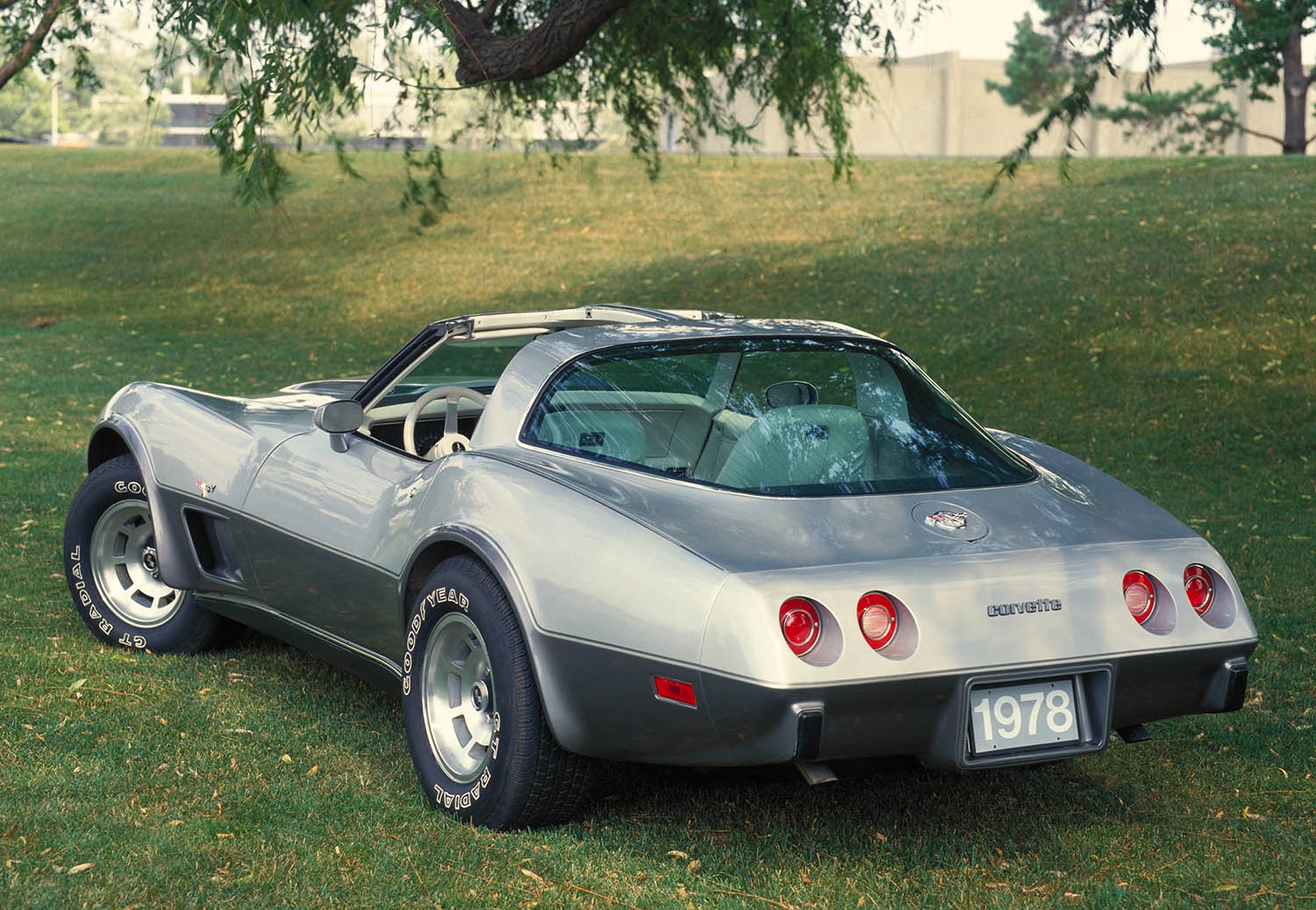 1978 Chevrolet Corvette Silver Anniversary Edition parked on a lawn underneath a tree