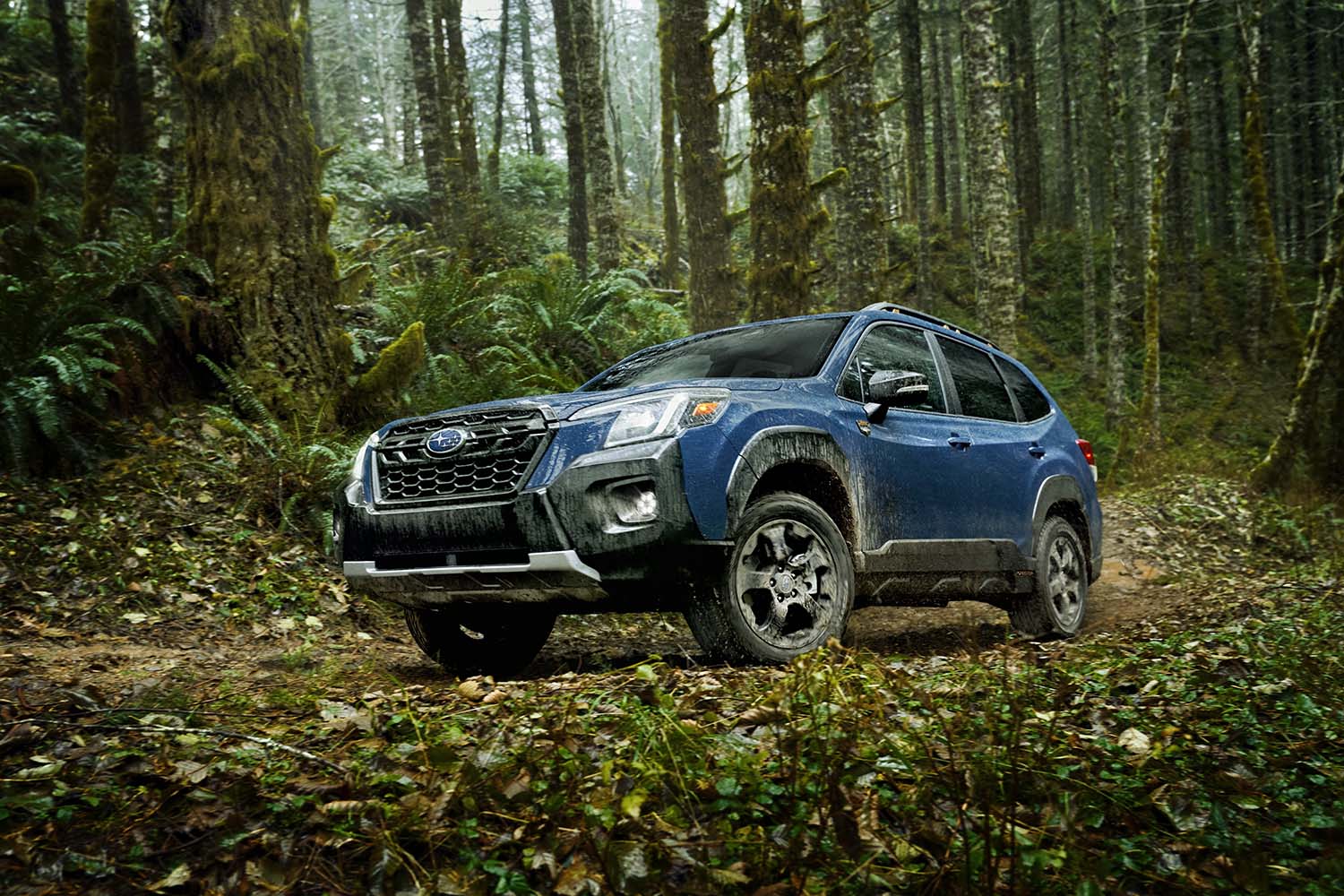 Subaru Forester Wilderness trim in bright blue in a heavily wooded area on a dirt road