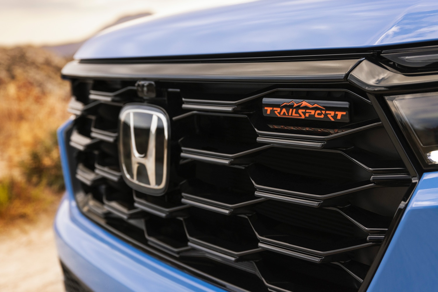 Close-up of the grille and badges on a blue 2024 Honda Pilot TrailSport