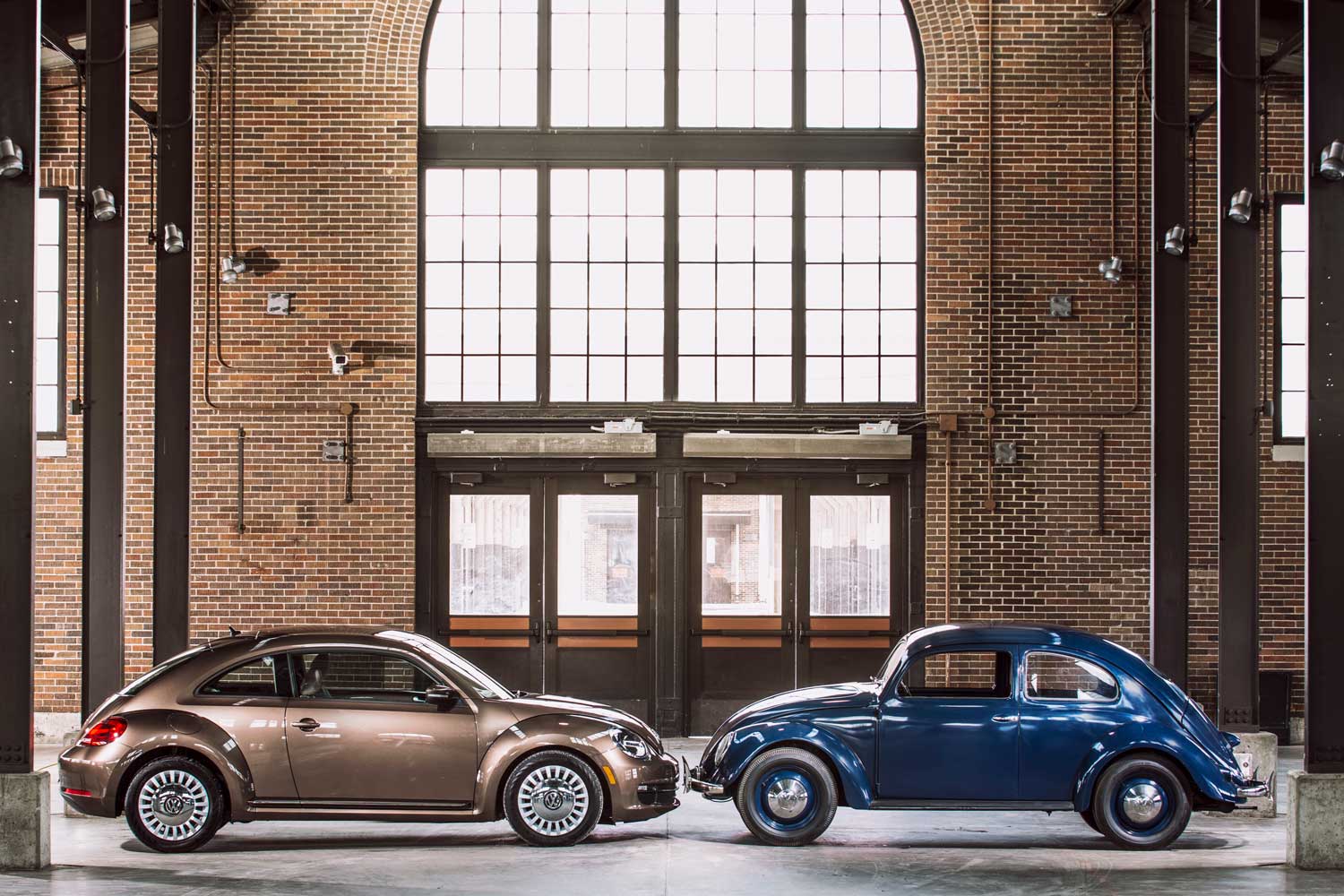 Volkswagen Beetles side view blue and brown
