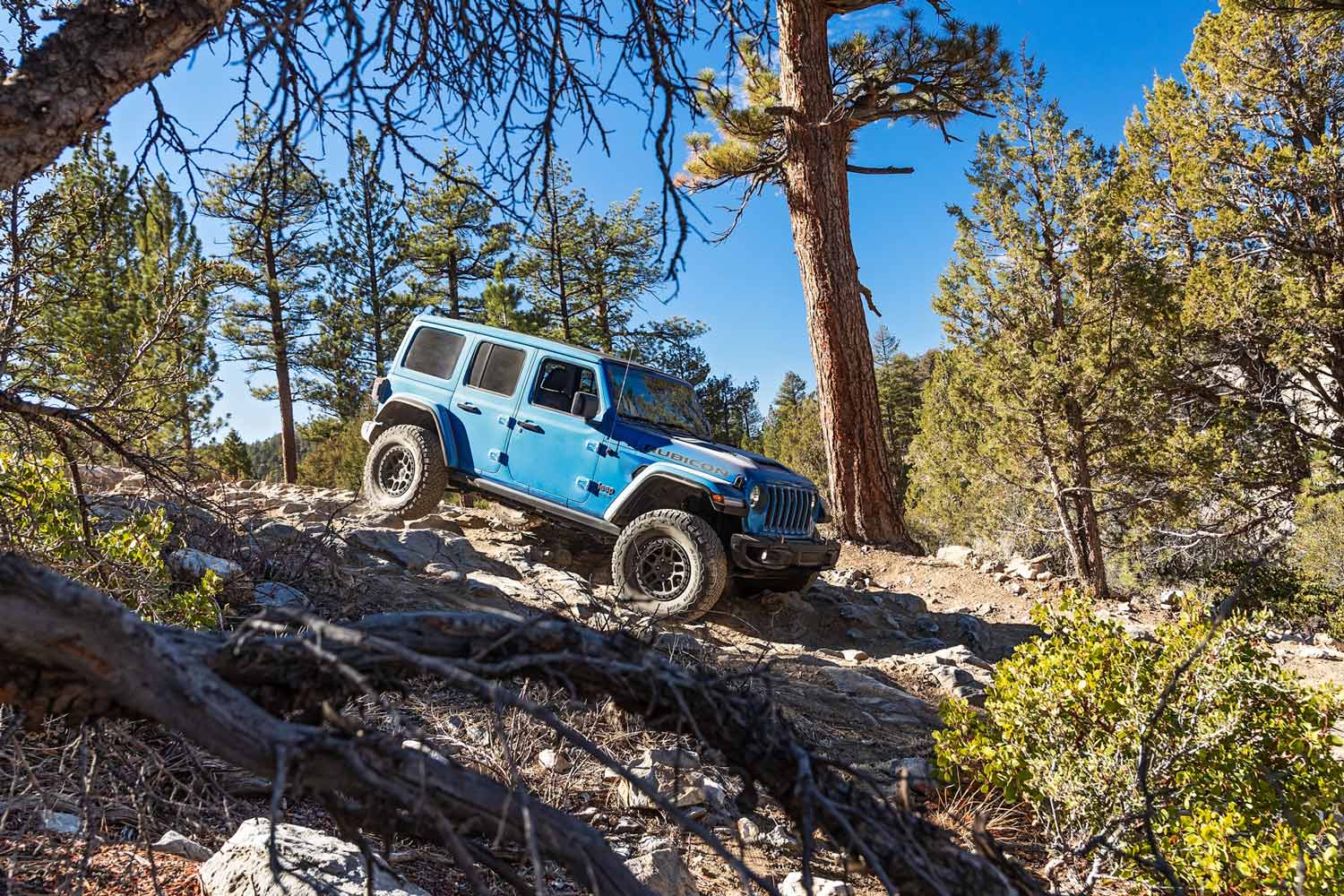 2022 Jeep Wrangler Unlimited in blue driving down steep rocky incline in forest.