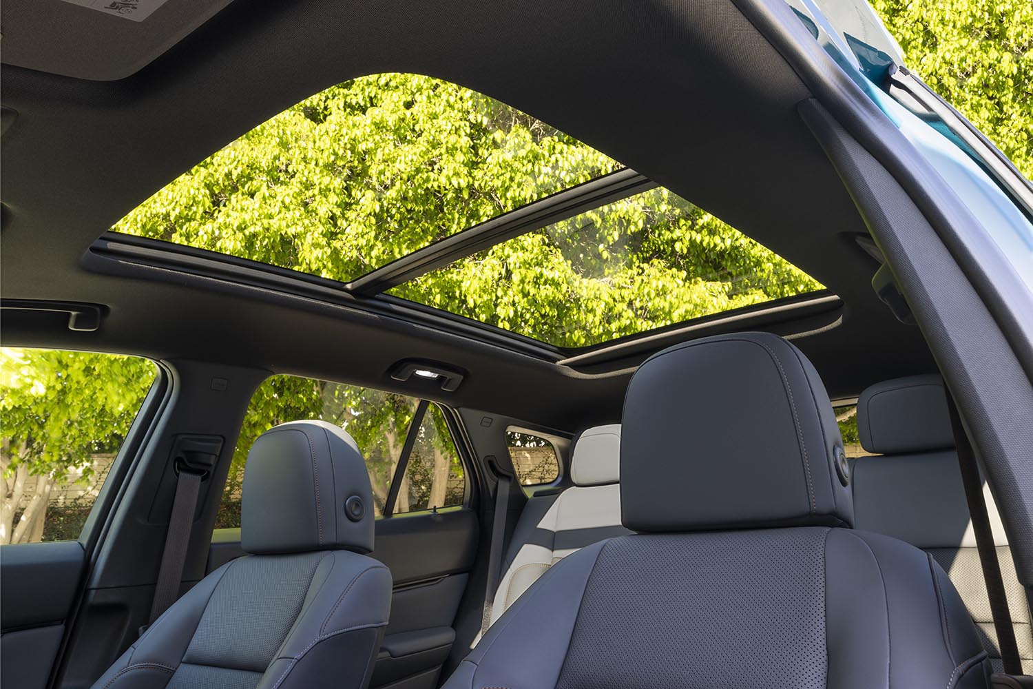 Interior view of the 2024 Honda Prologue showing the panoramic sunroof. 