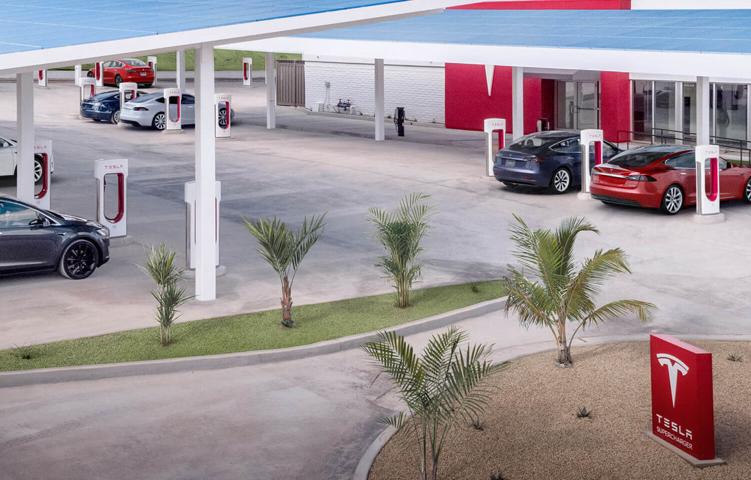 Tesla Supercharger station with small palm trees