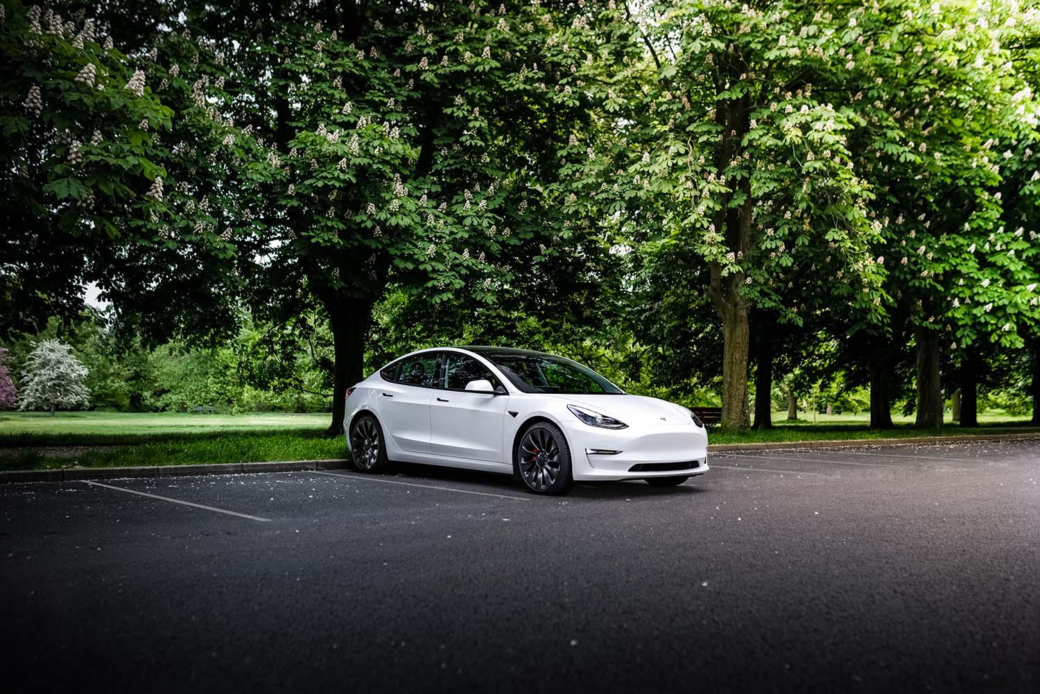 White Tesla Model 3 in parking lot with trees in the background.
