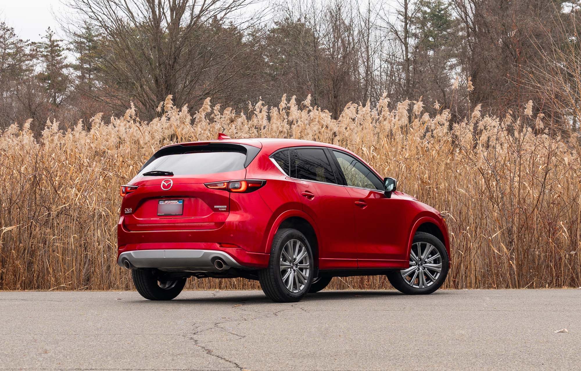 2024 Mazda CX-5 in red parked in front of a brown winter landscape.