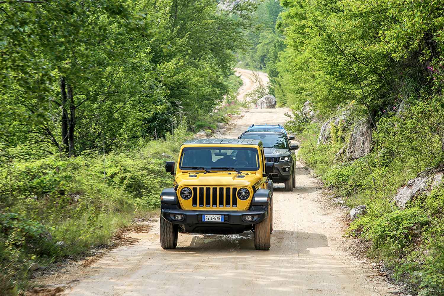 Jeep Wrangler and Jeep Cherokee Trailhawk