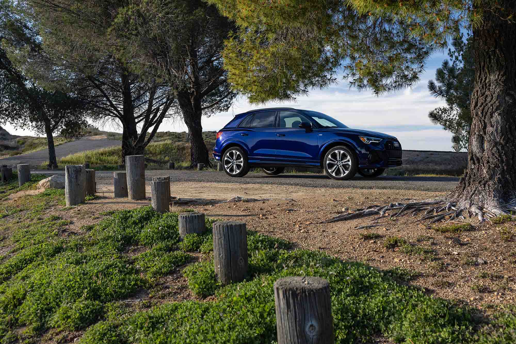 Blue Audi Q3 in park with trees