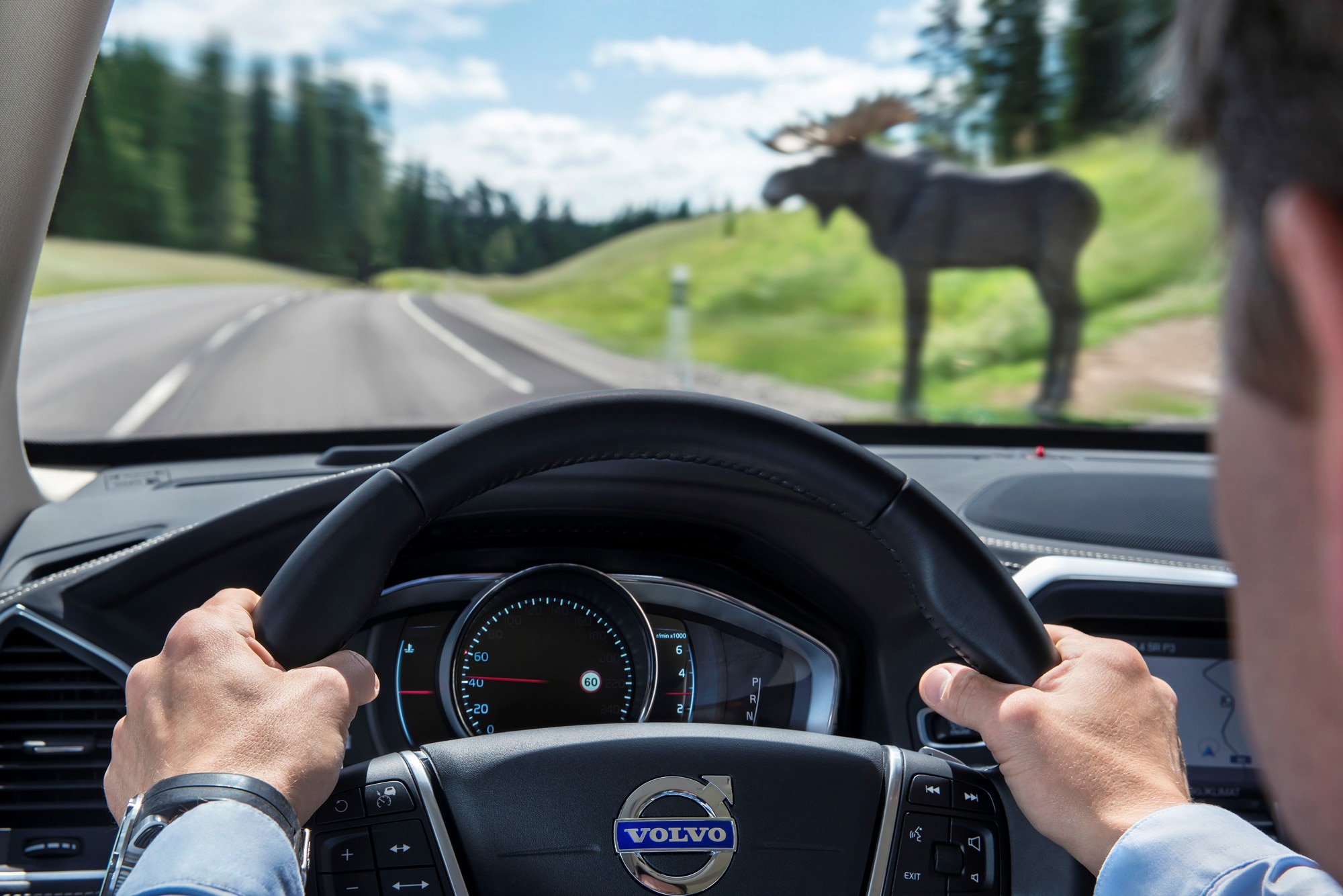 A driver steers a vehicle down a highway and a model of a moose is visible through the windshield.