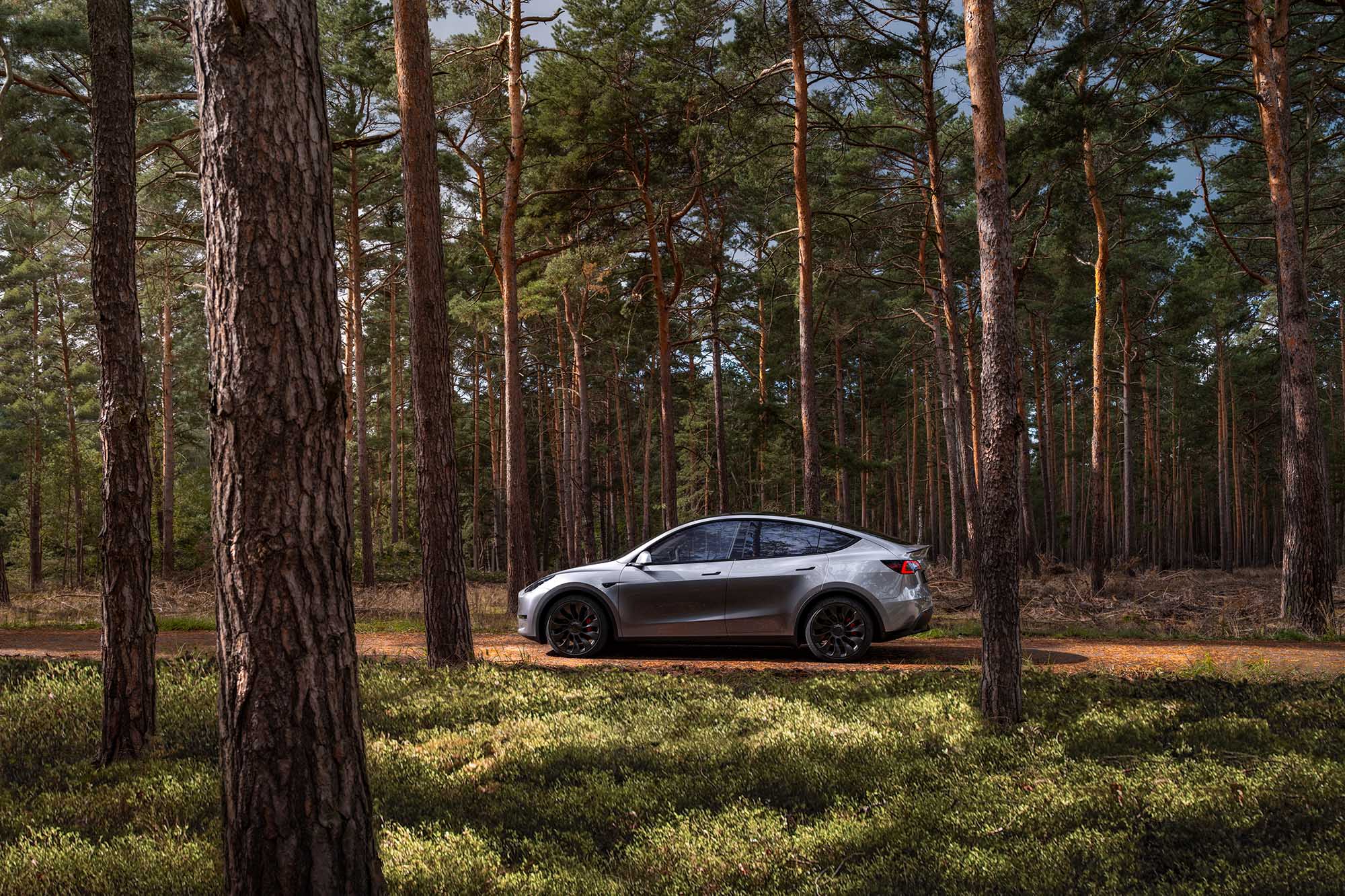 Gray Tesla Model Y driving through forest.