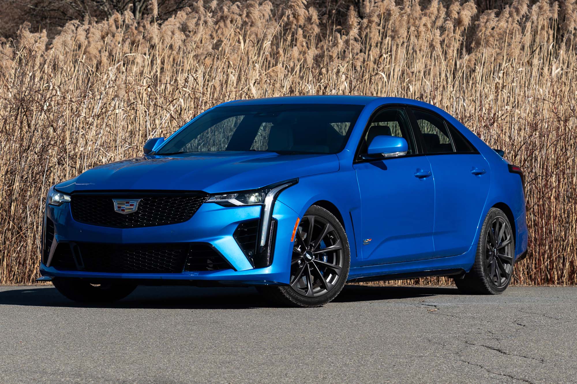 Front left three-quarter view of a Coastal Blue 2024 Cadillac CT4-V Blackwing parked on pavement near trees.