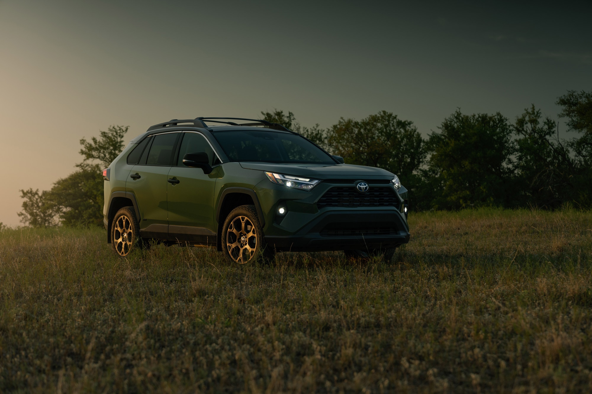 Green 2024 Toyota RAV4 Woodland parked in a green field