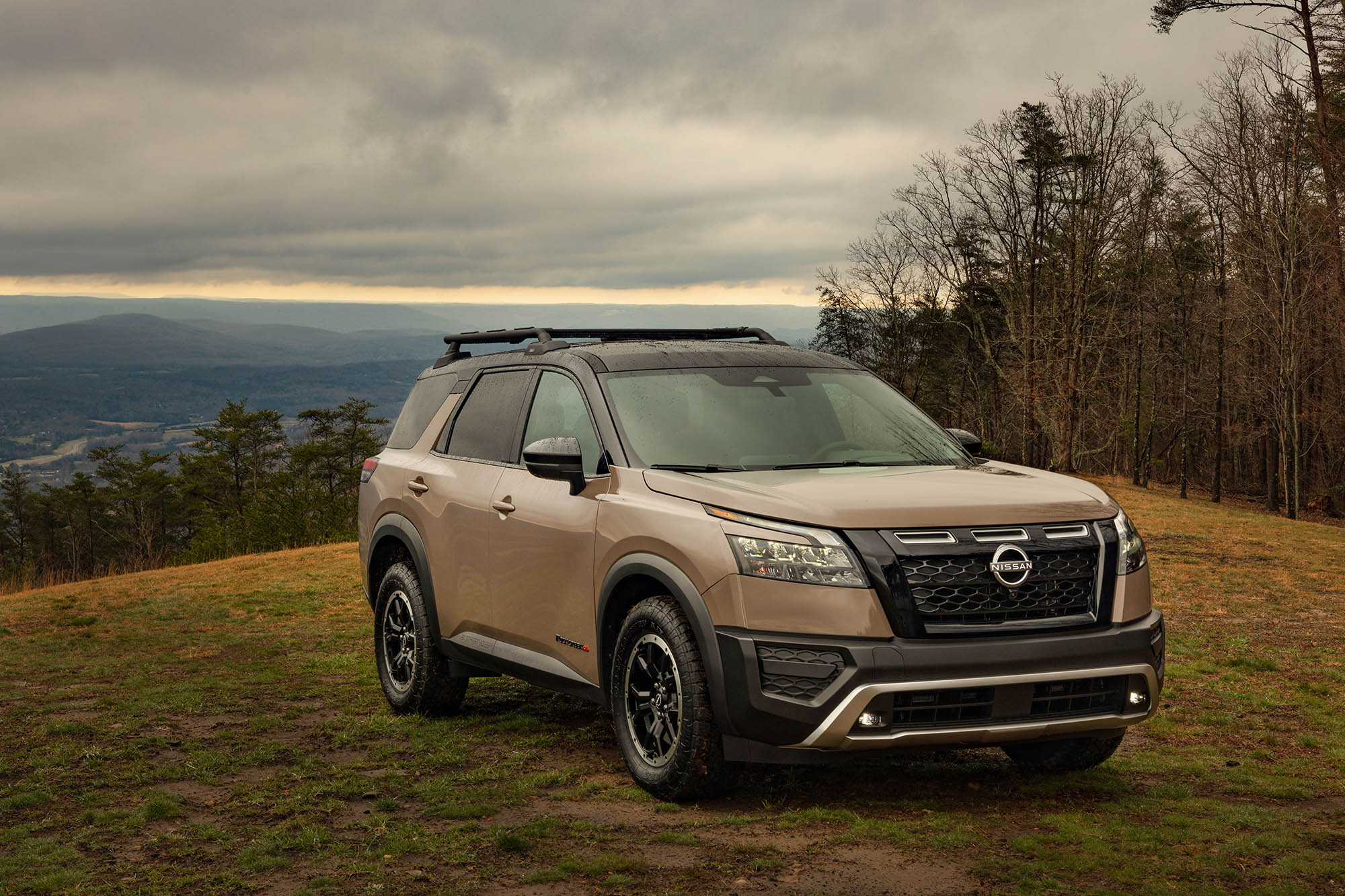 Tan Nissan Pathfinder parked on grass with mountains in the background.