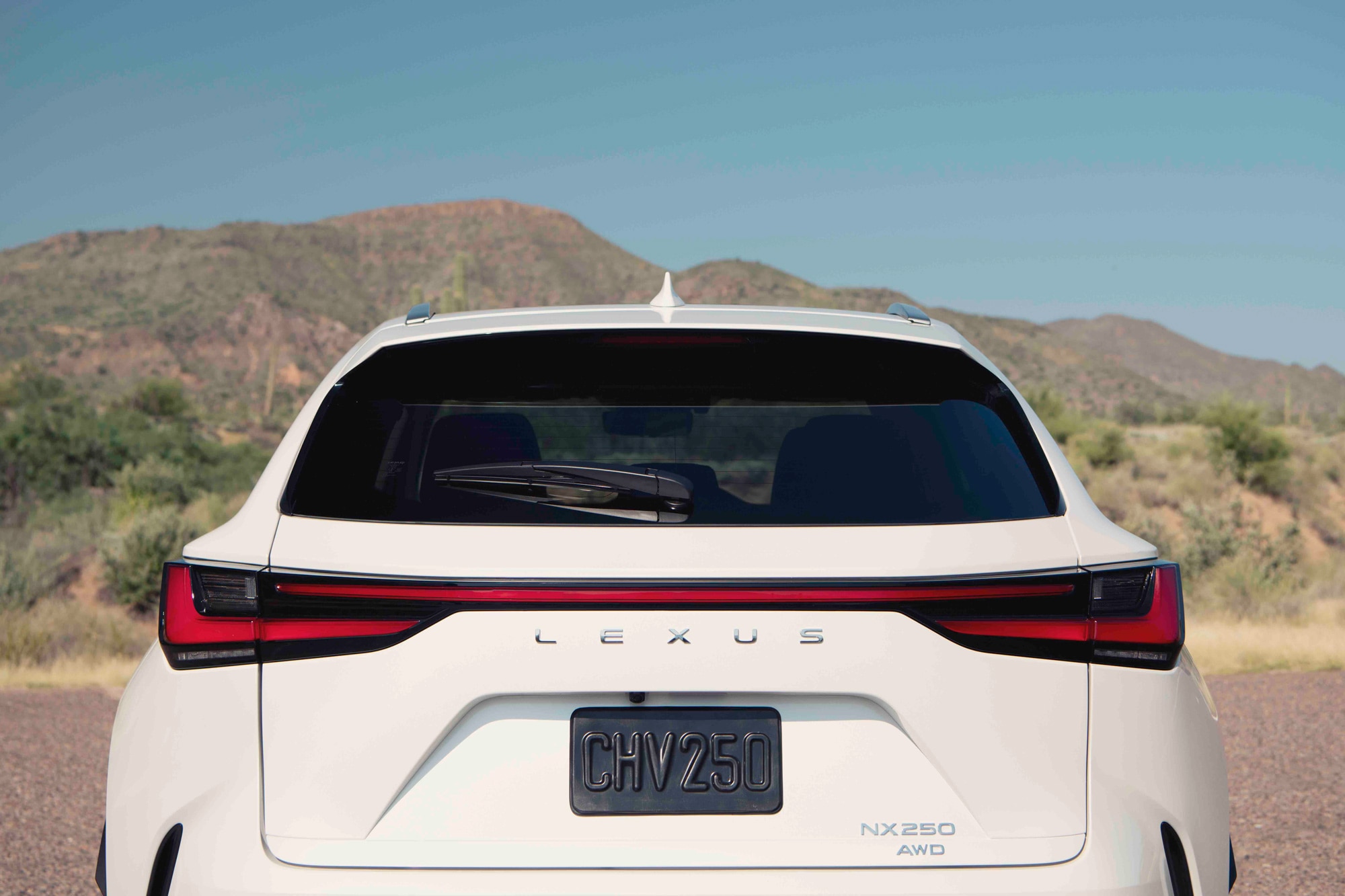 Rear of a white 2024 Lexus NX 250 AWD