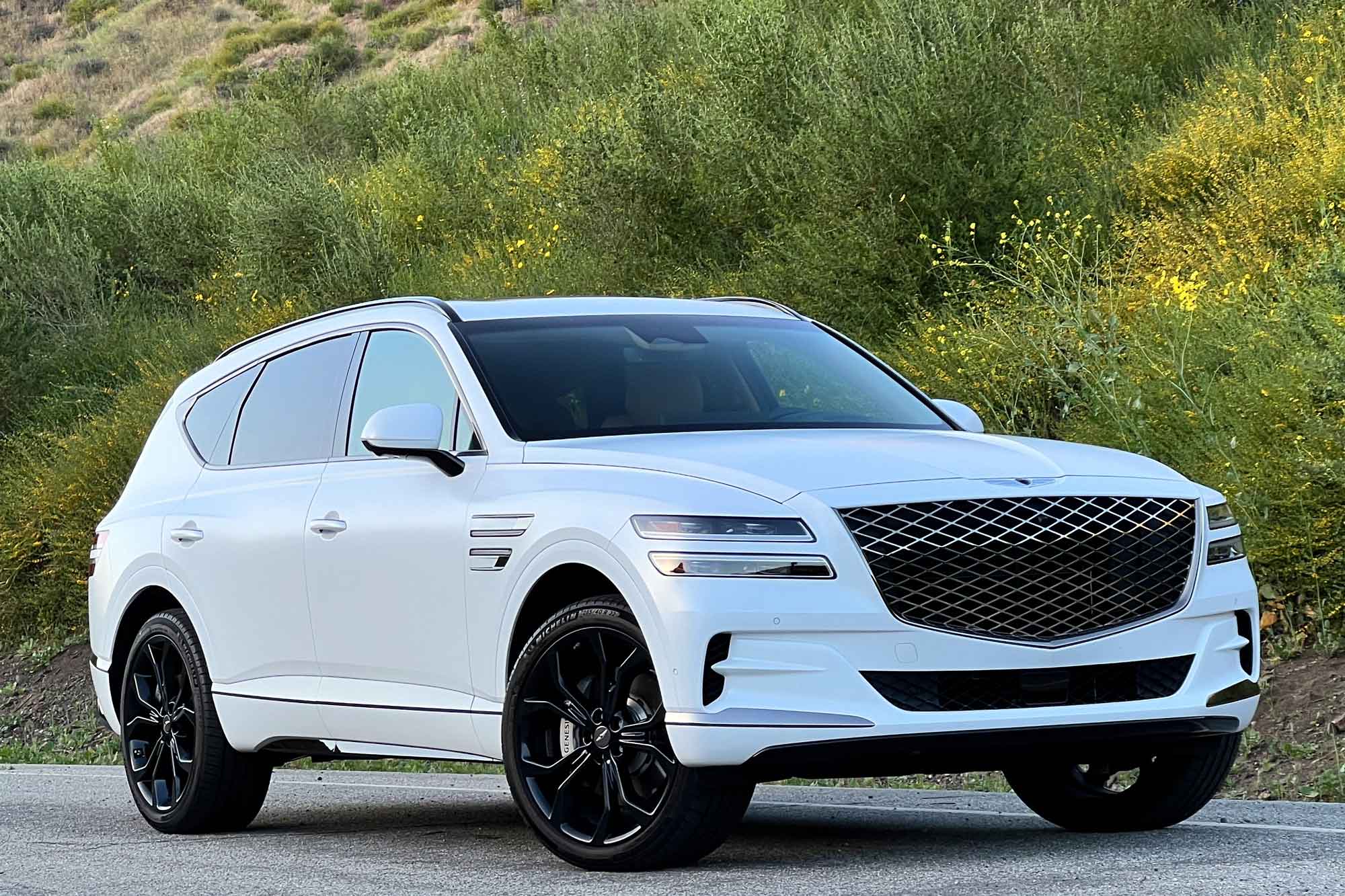 Front-quarter view of a white 2024 Genesis GV80 3.5T Prestige Signature with brush and a hillside in the background.