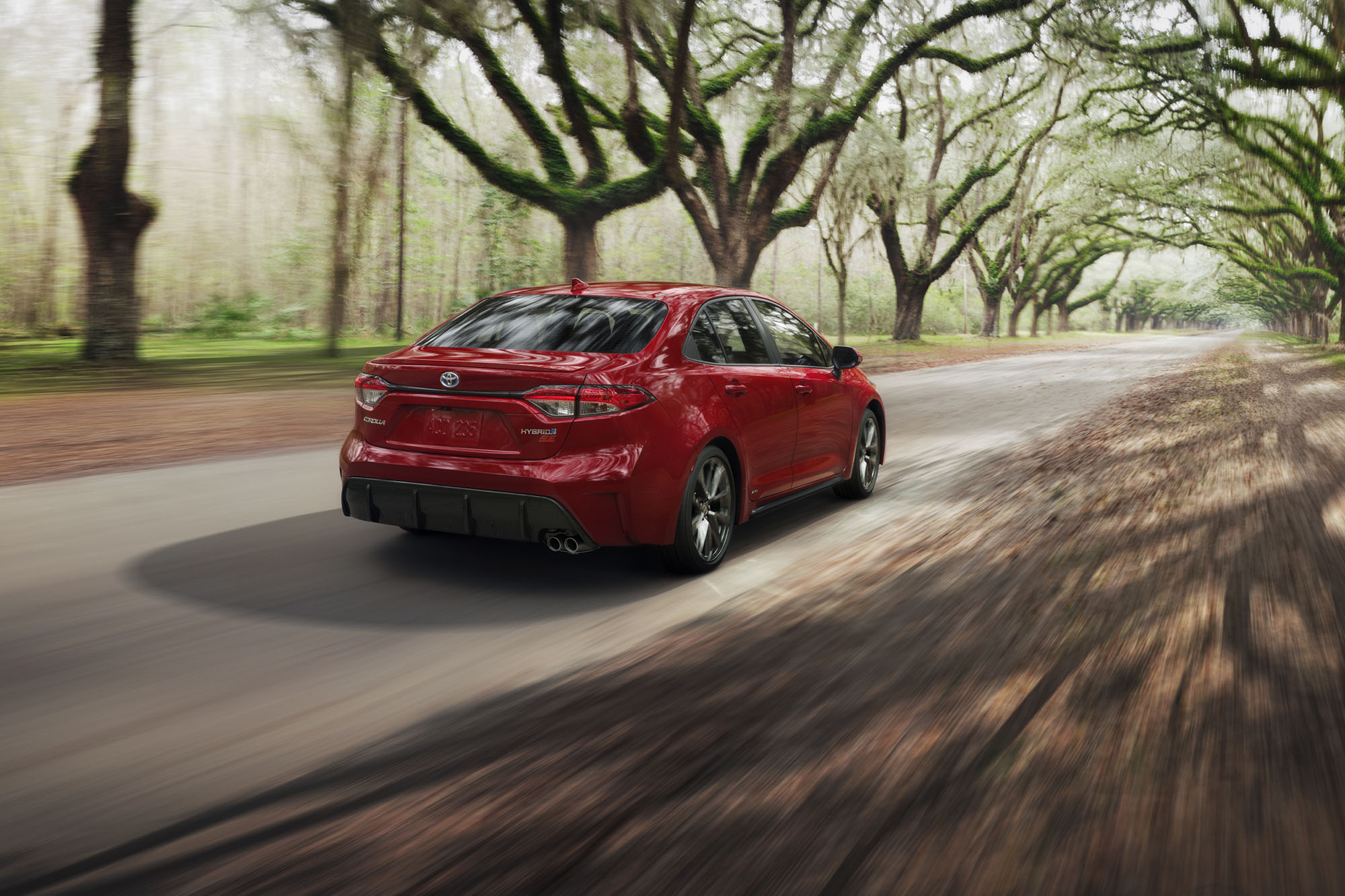 2023 Toyota Corolla in red driving along a tree-lined road