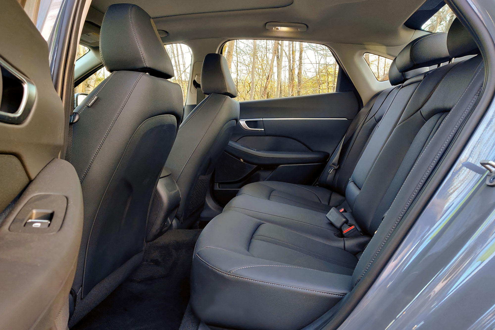 View of a 2024 Hyundai Sonata SEL interior showing the back seats.