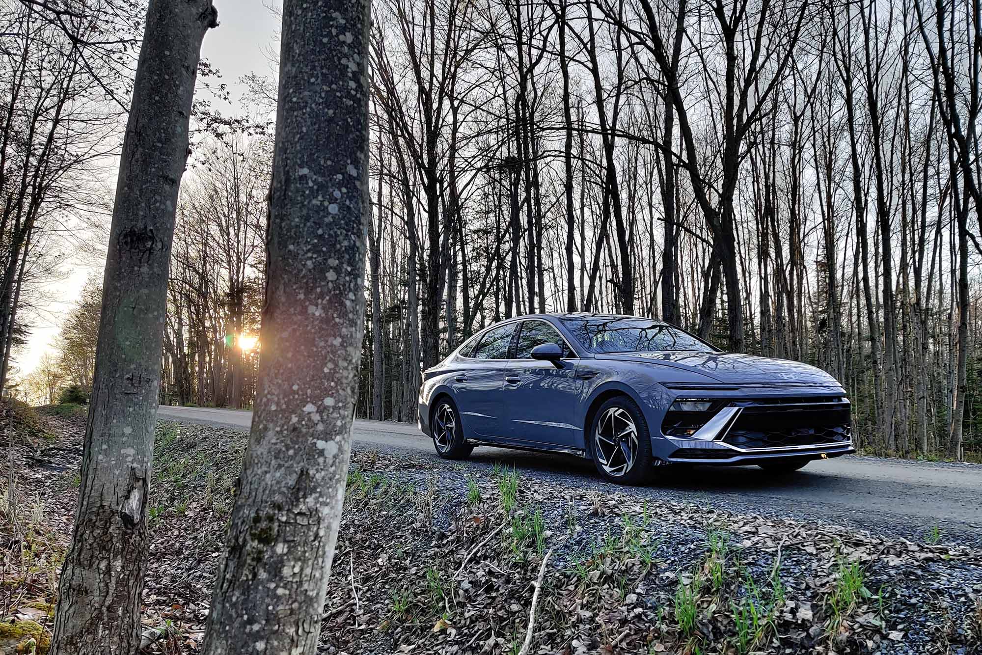 Front-quarter view of a Transmission Blue 2024 Hyundai SEL parked on gravel in the woods at sunset.