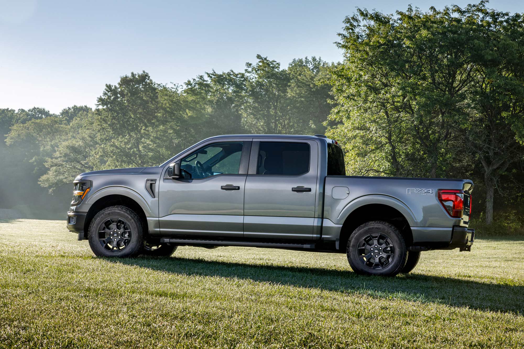 Gray Ford F-150 FX4 parked on grass lawn.