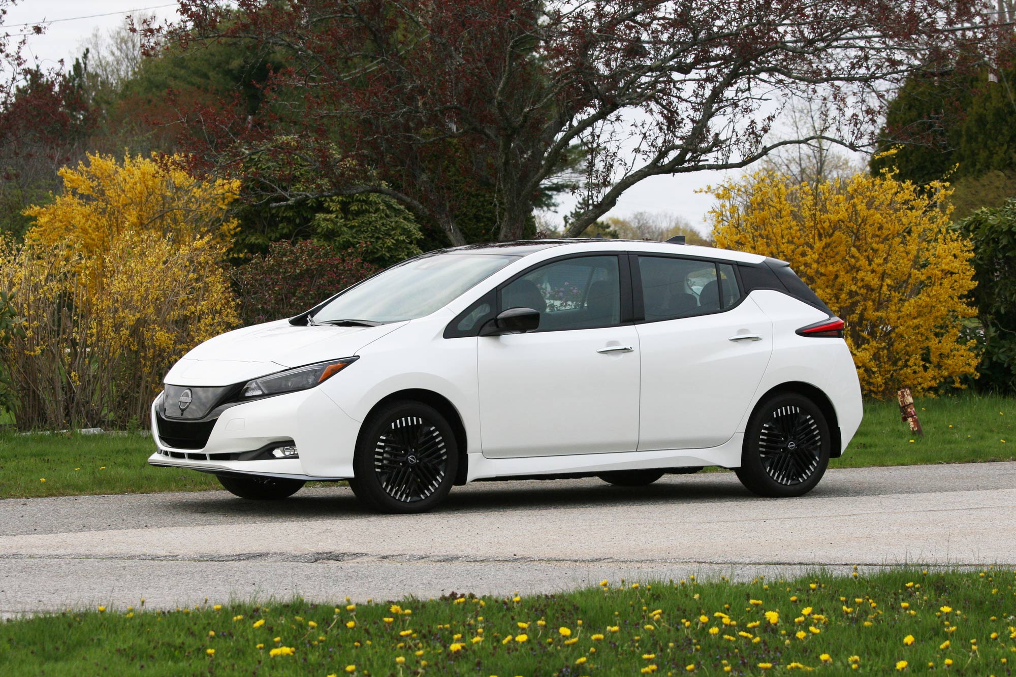 Front-quarter of a white 2024 Nissan Leaf SV Plus parked with trees in the background