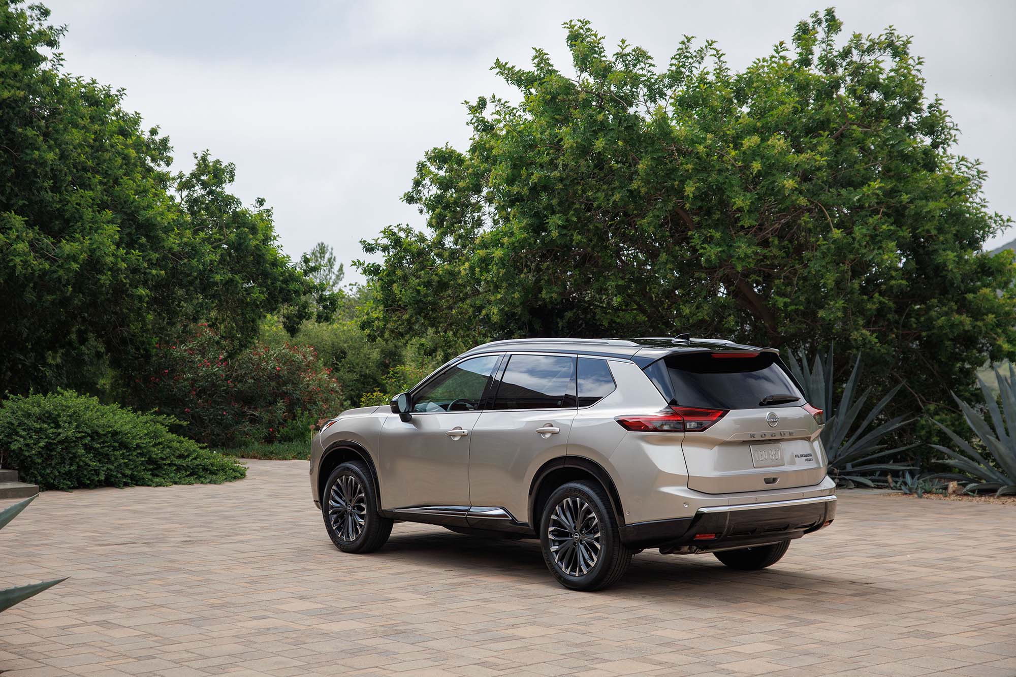 Tan Nissan rogue parked in front of trees and cacti.