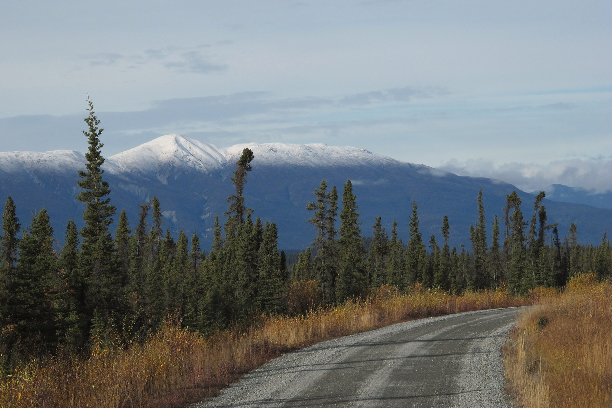 Wragnell Mountains from McCarthy Road in Alaska.