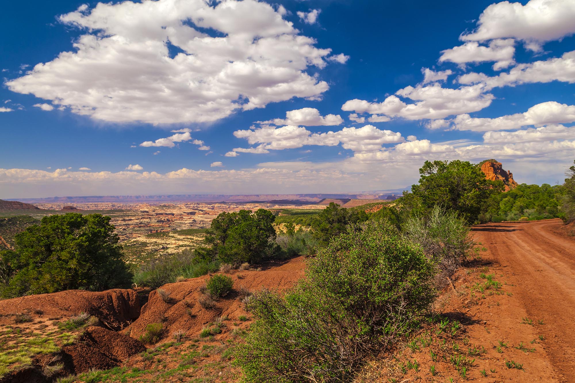 Beef Basin Road in Utah, with red dirt and green bushes.