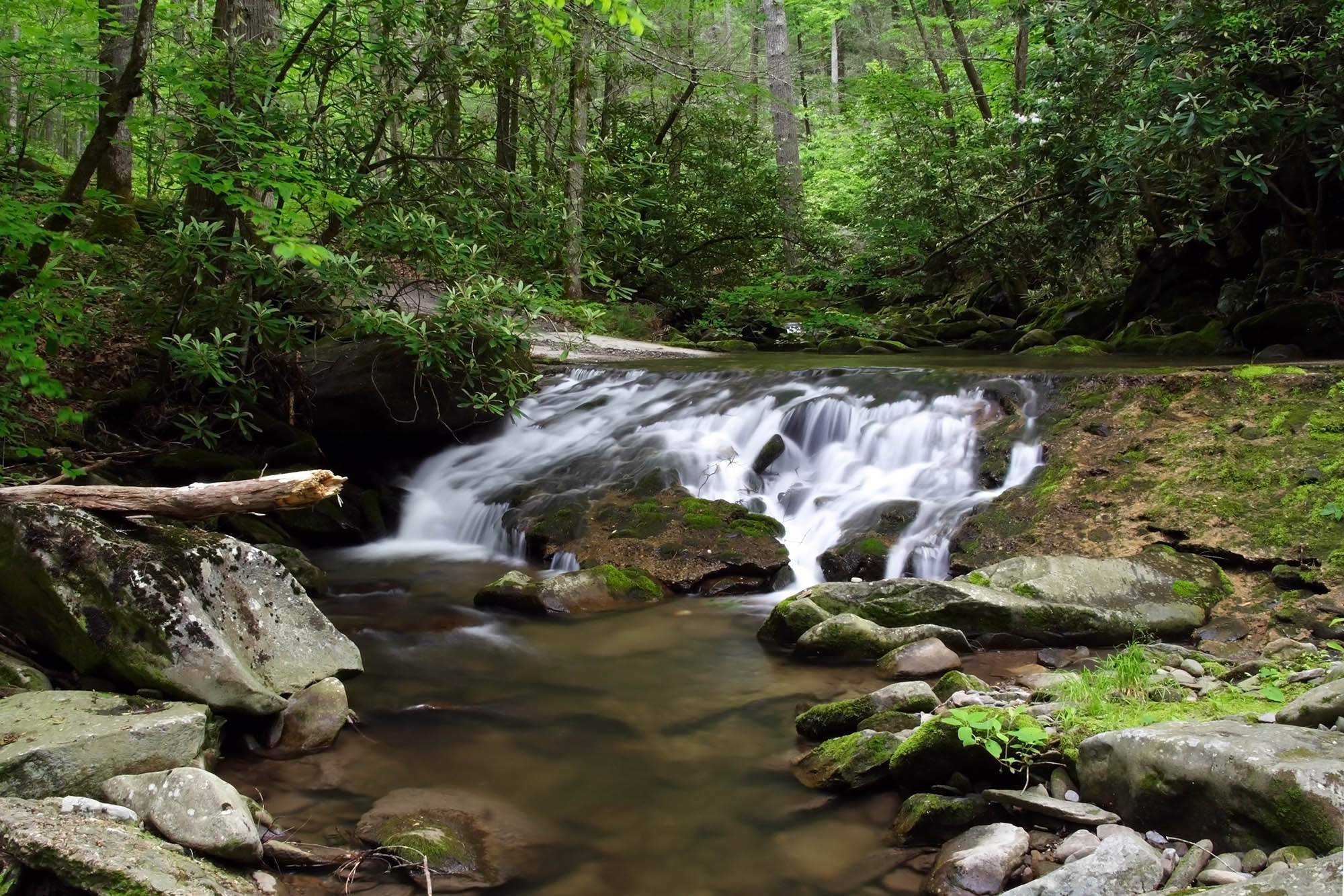 A small waterfall off Parsons Branch Road in the Great Smoky Mountains National Park.