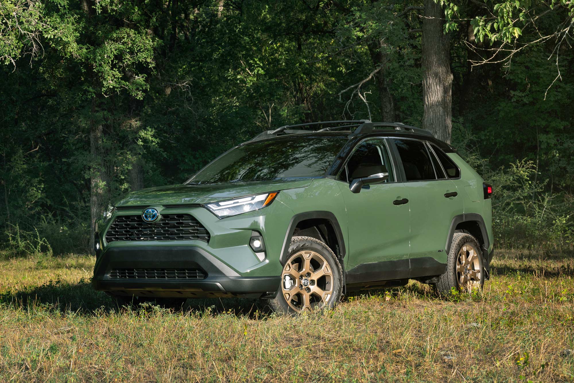 Front of a green 2024 Toyota RAV4