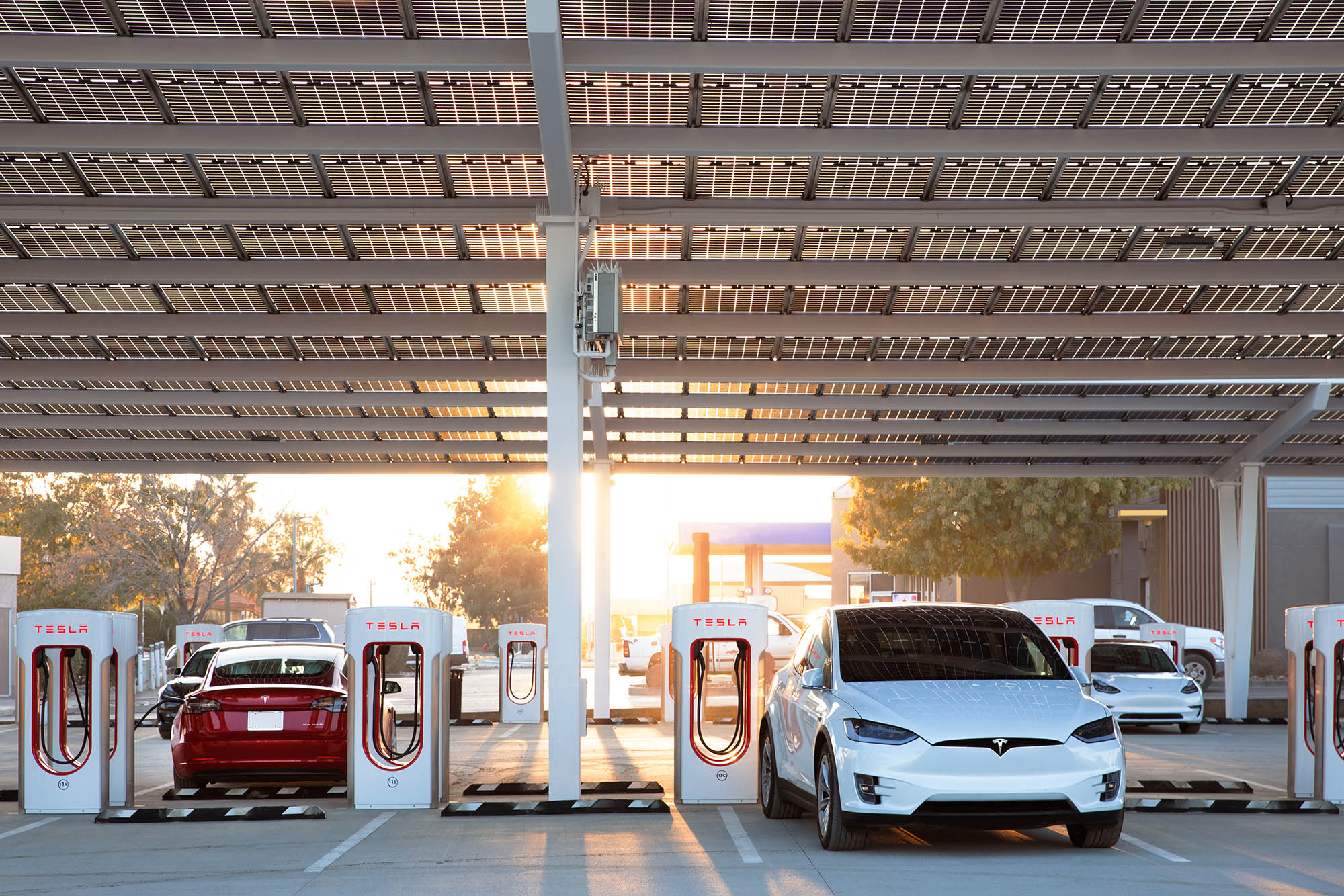 Several Tesla vehicles hooked up to Tesla charging stations.