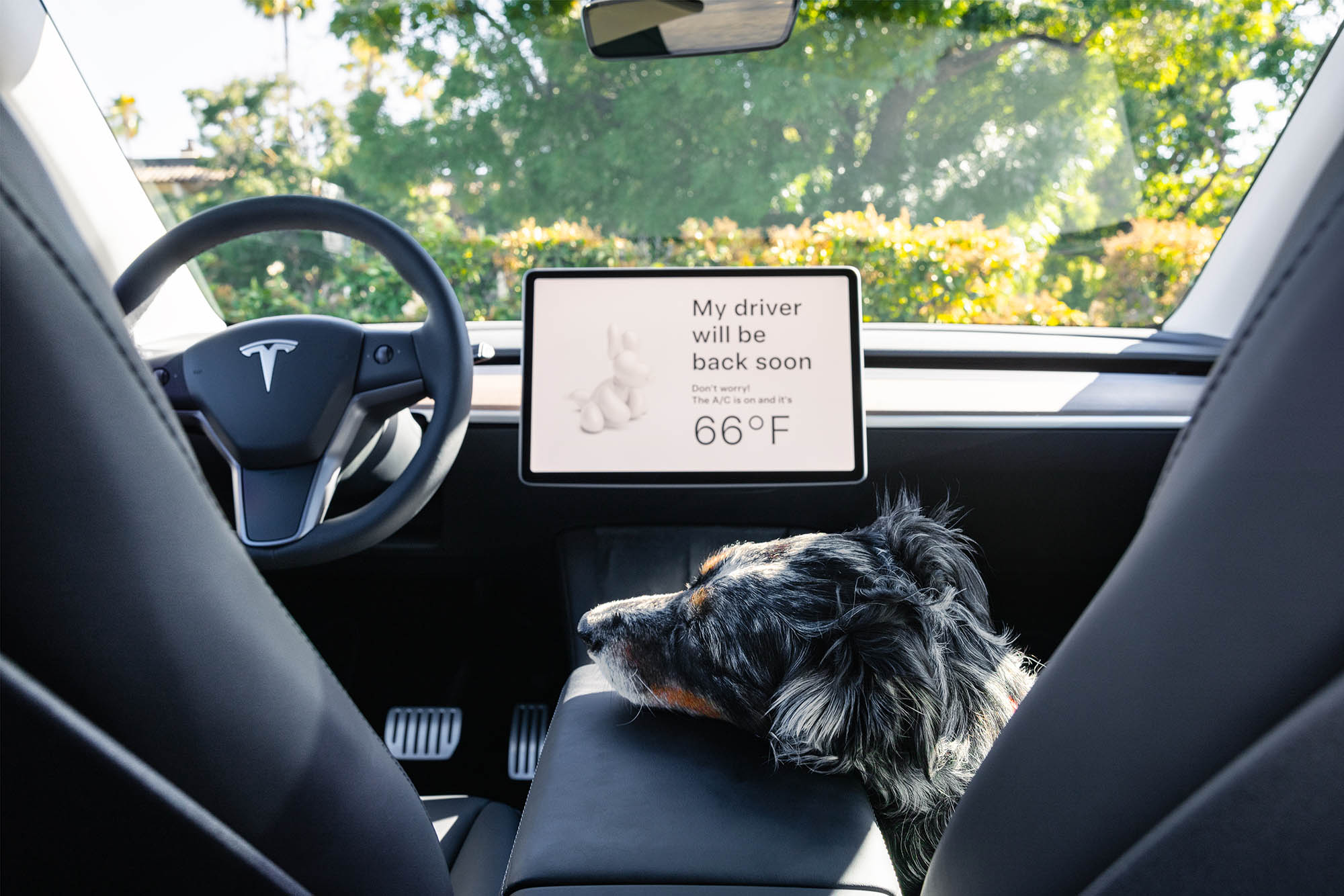 Dog Mode in operation inside a Tesla Model Y with a dog resting in the front passenger's seat.