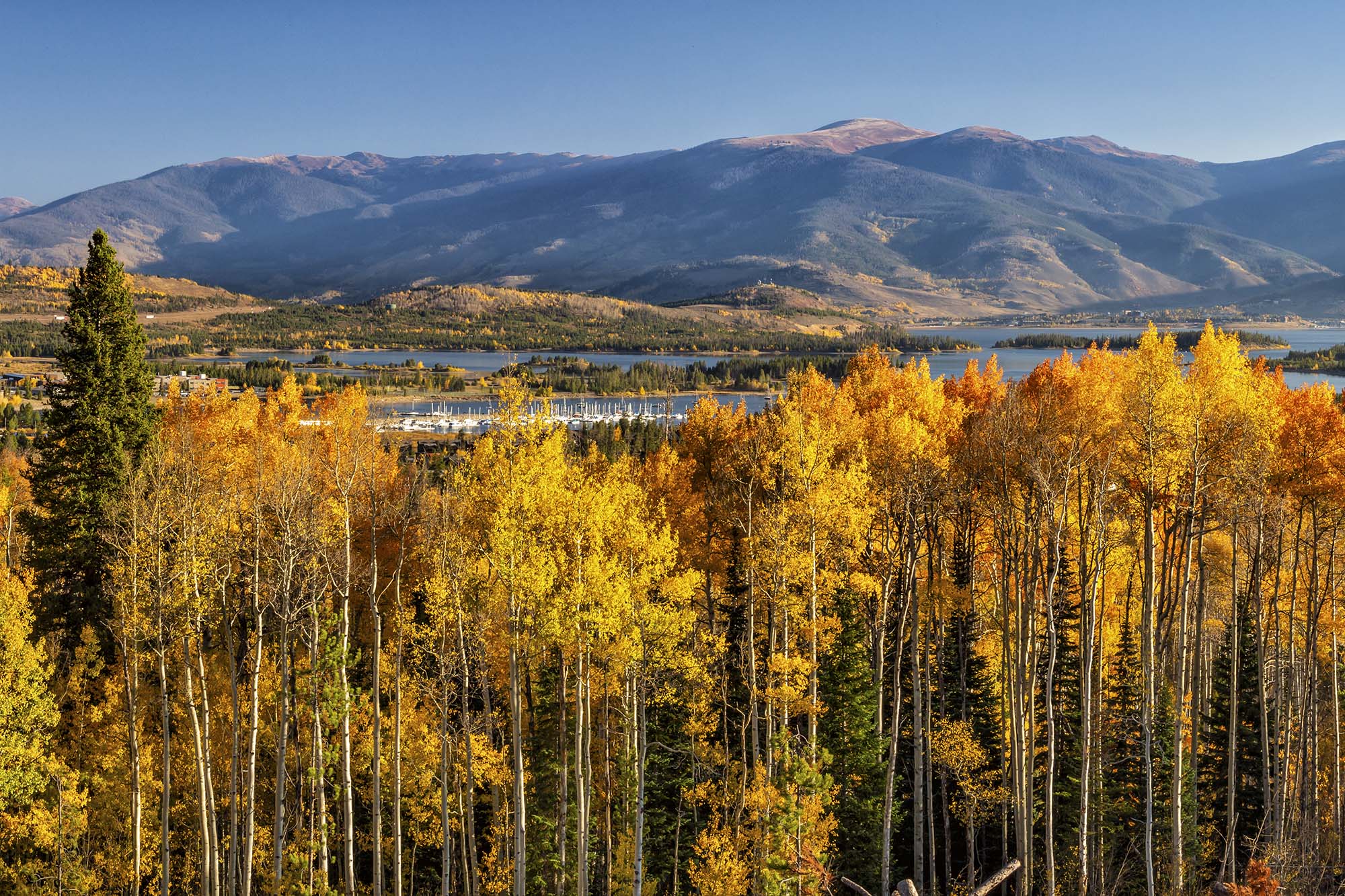 Yellow and orange fall foliage near Frisco Colorado