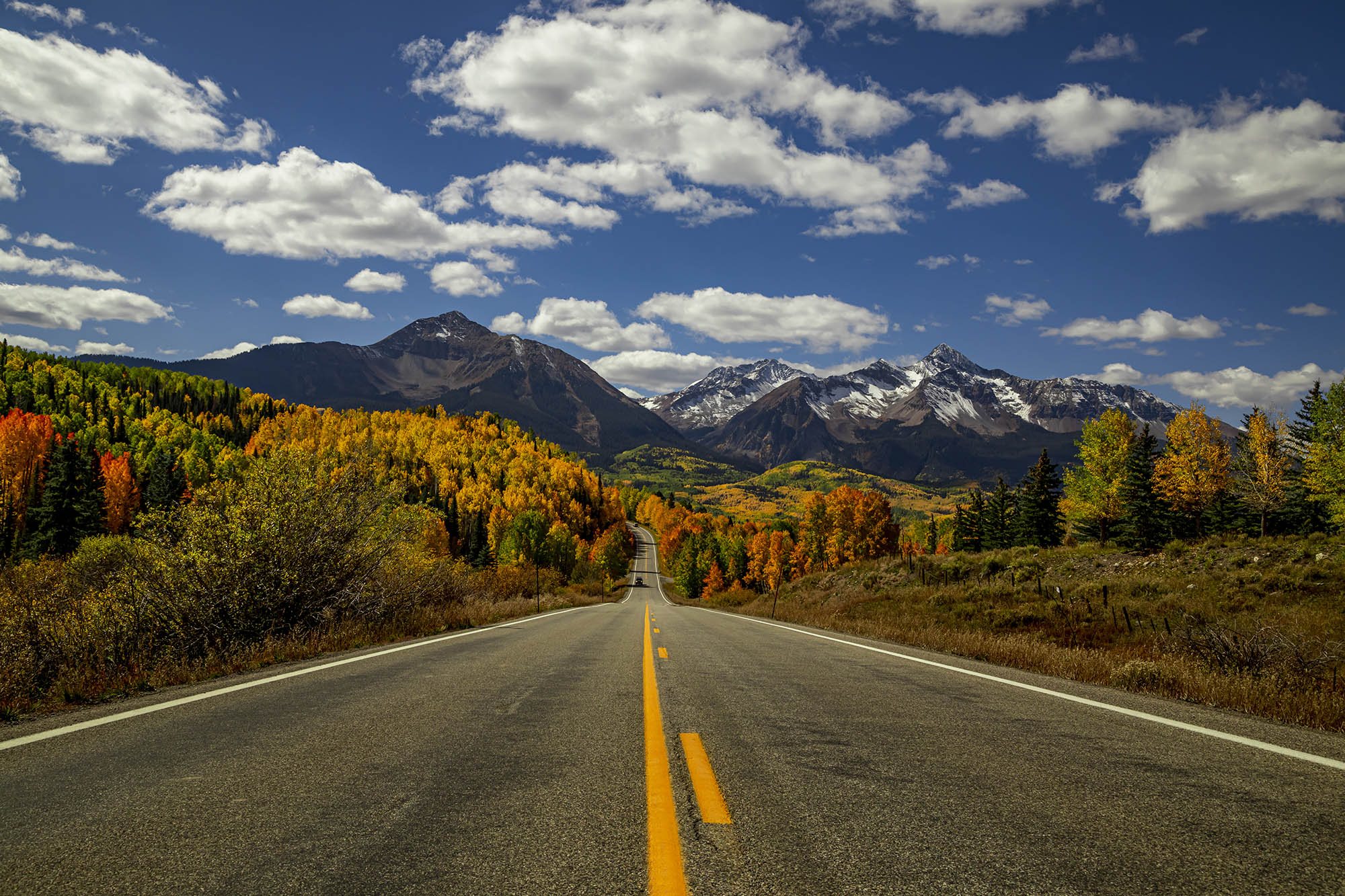 Fall foliage on either side of a paved road near Telluride Colorado