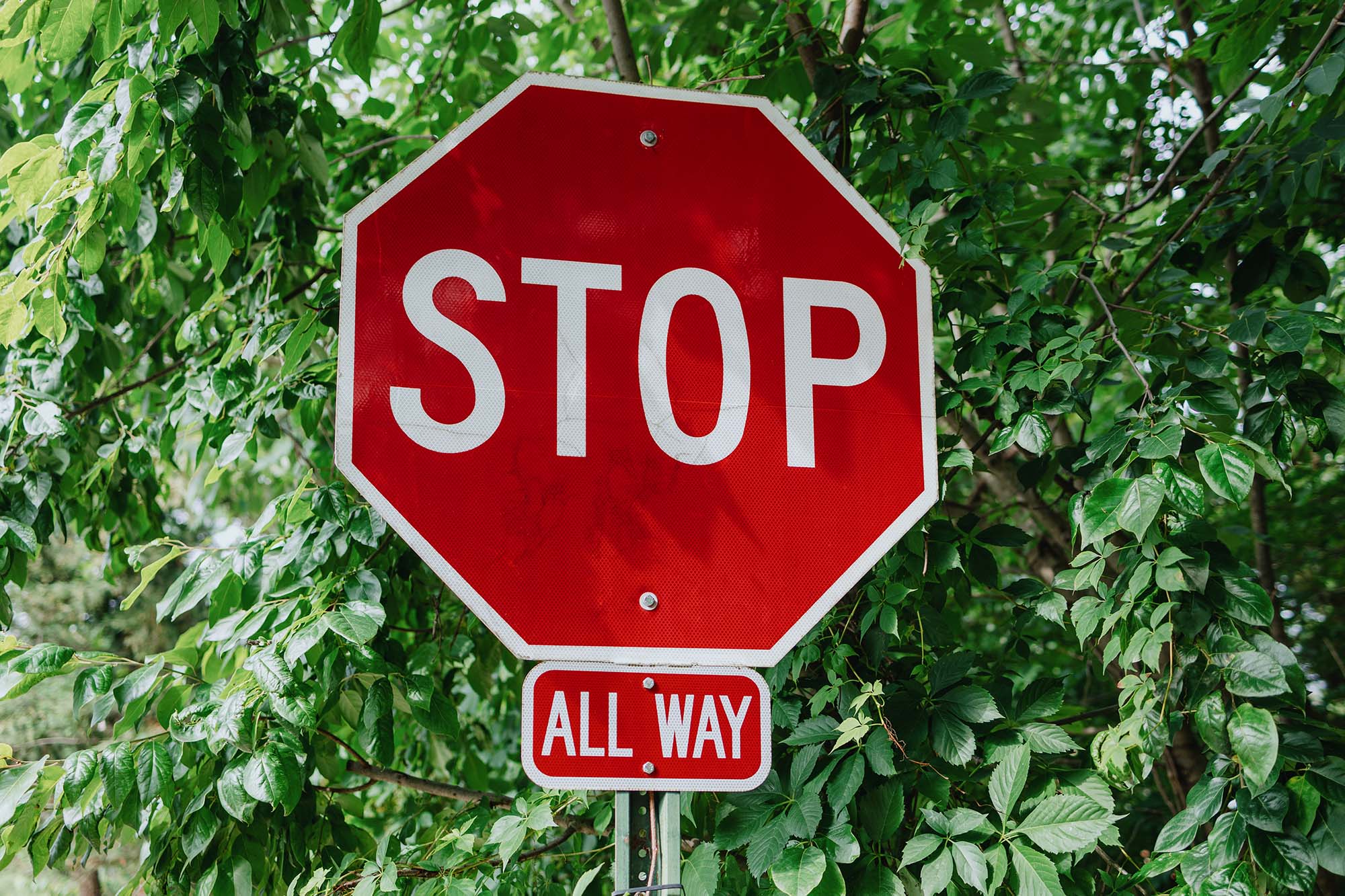 A detail shot of an all way stop sign