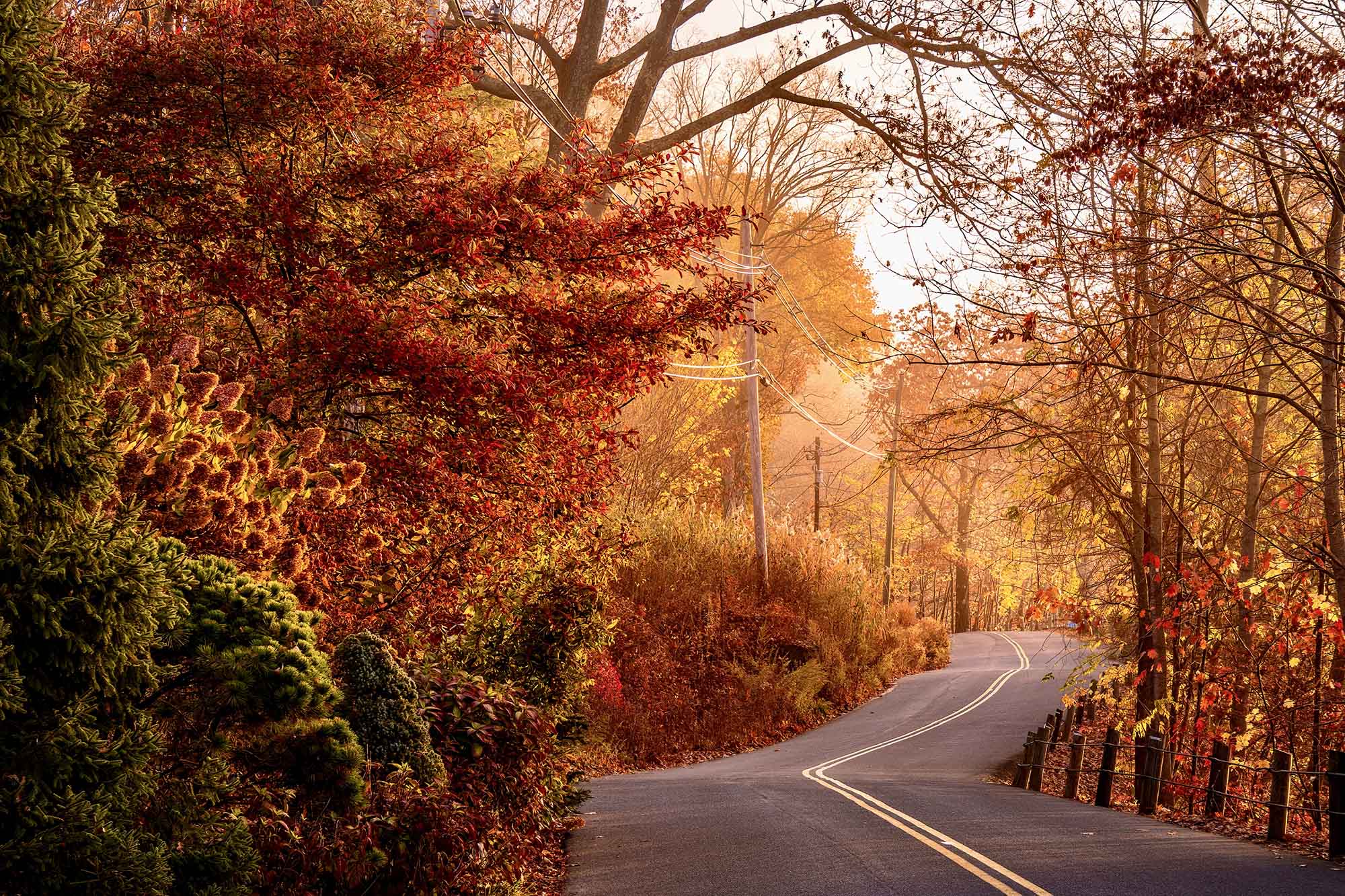 A paved road winding through autumn foliage in the Litchfields Hills region of Connecticut.