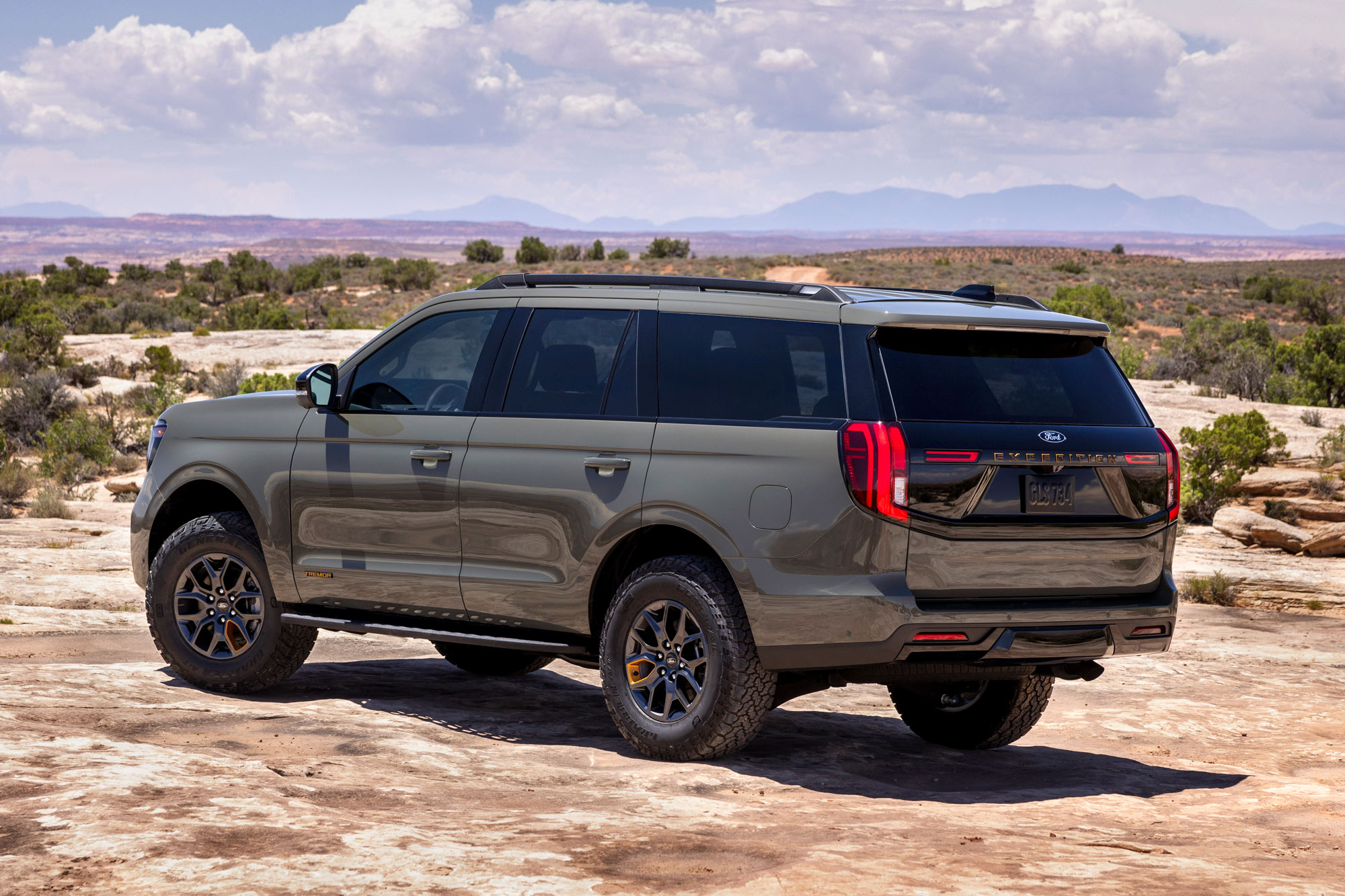 Rear of a 2025 Ford Expedition