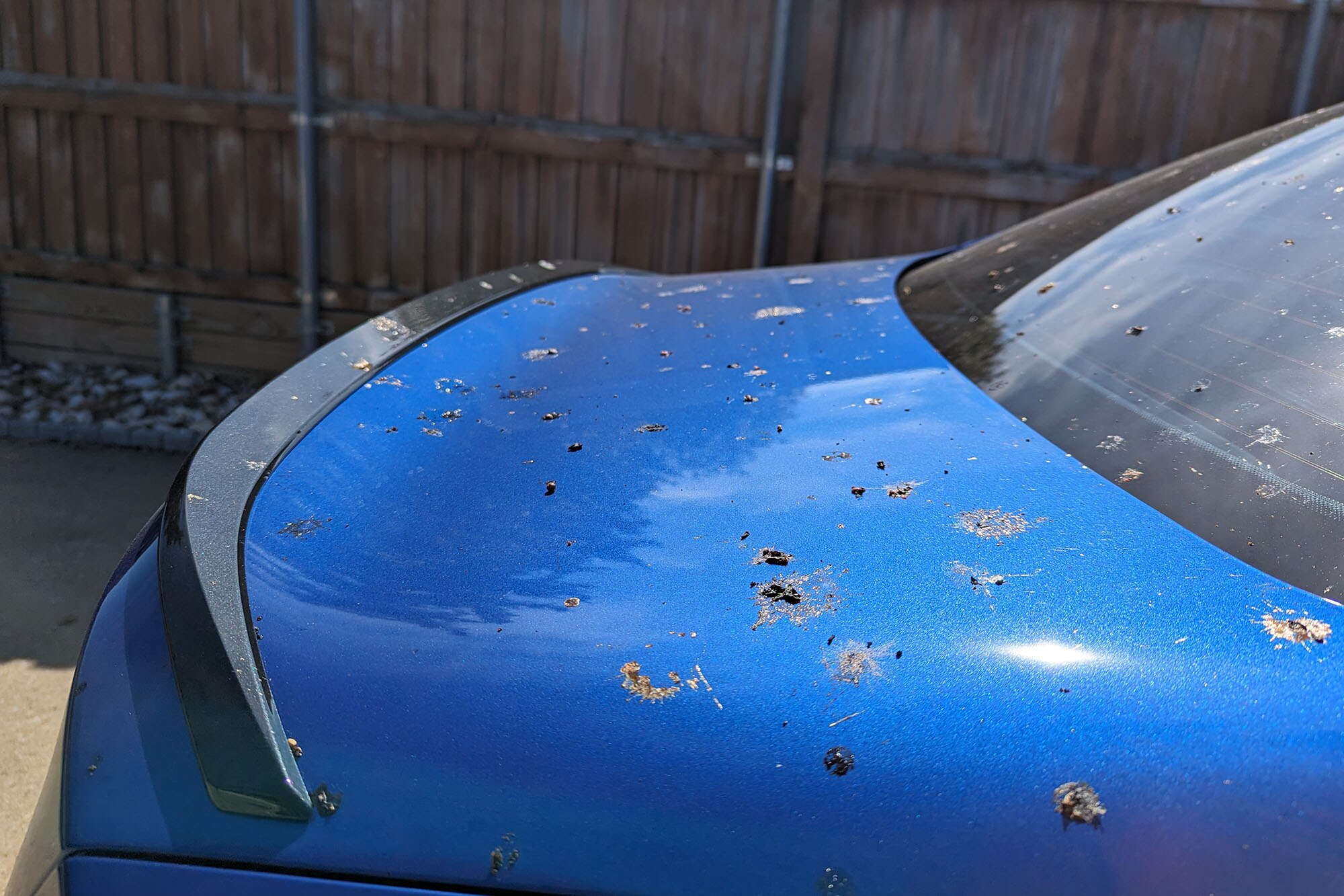 The trunk lid of a blue car covered in bird droppings.