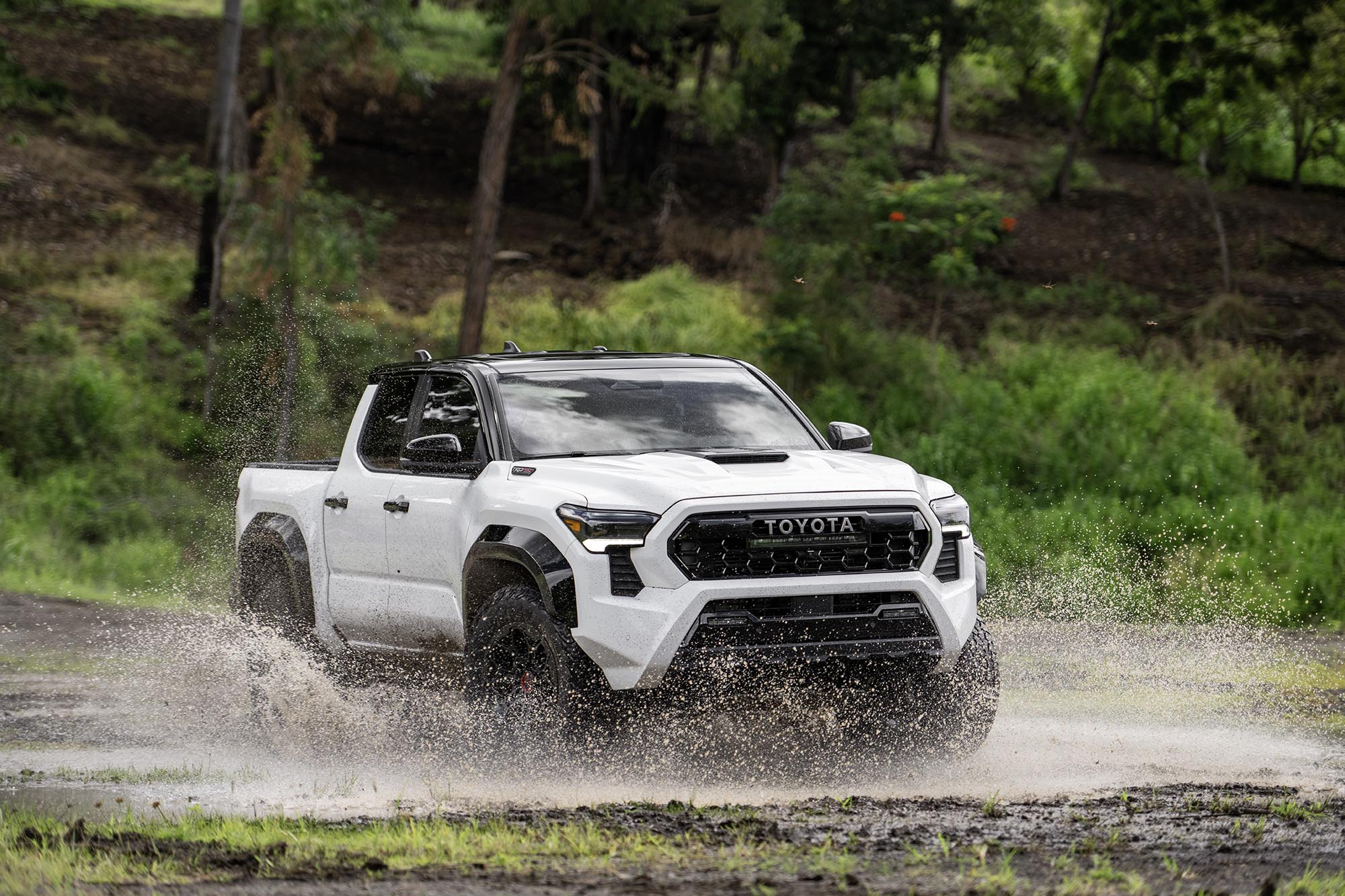 White Toyota Tacoma splashing through swampy terrain.