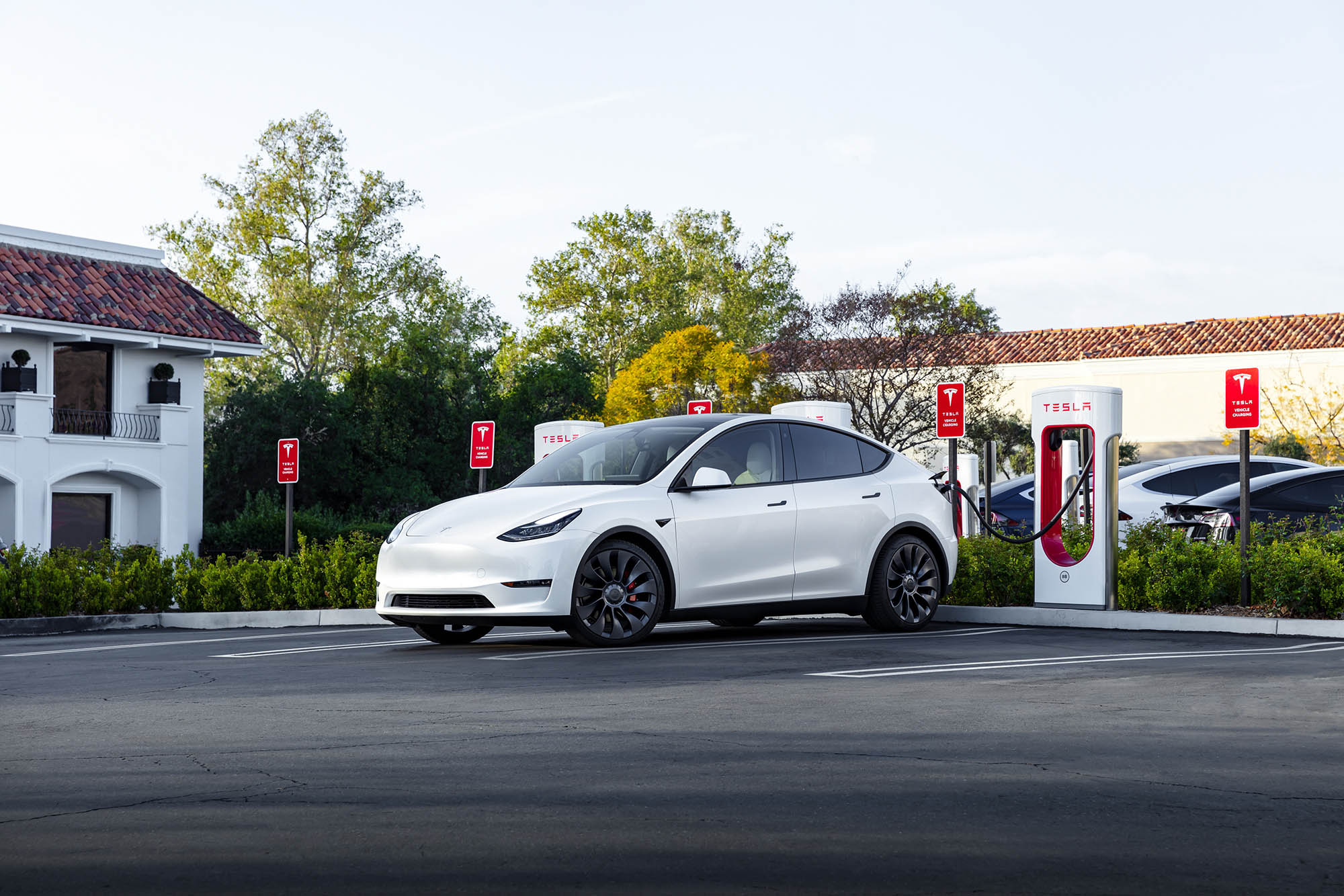 White Tesla Model Y plugged into a Tesla Supercharger.